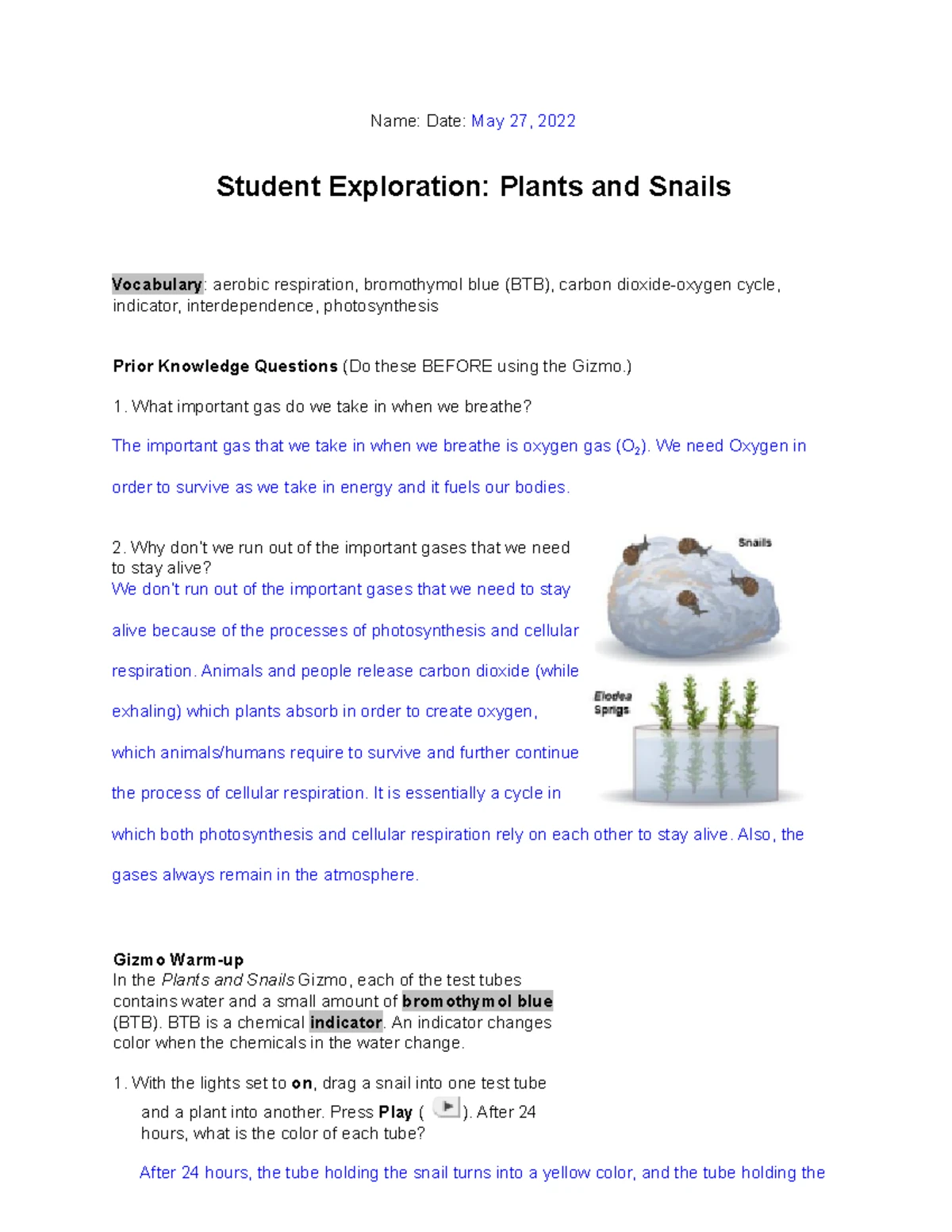Osmosis SE Gizmo Assignment - Student Exploration Activity - Studocu