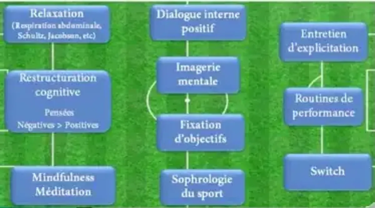 Fiche Révision - Licence 1 Psychologie : De la Psychologie au Sport ...