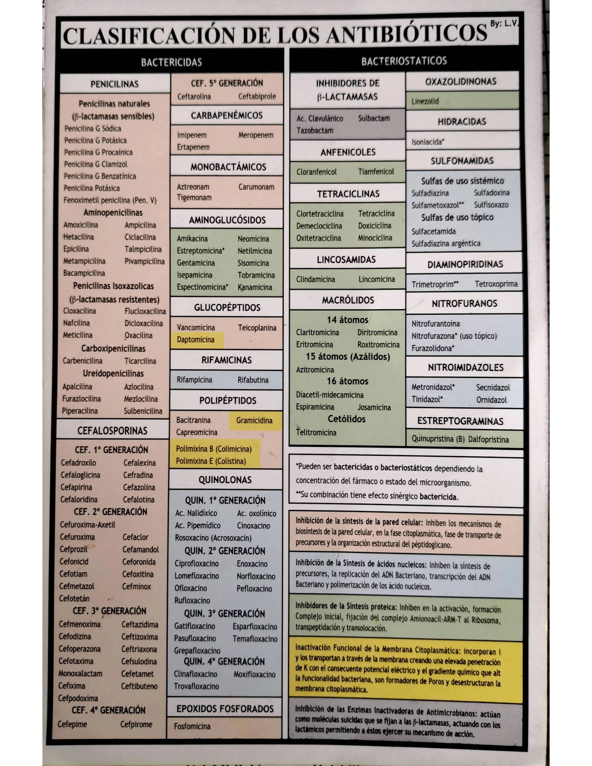 Resumen de Hemocultivos para Diagnóstico de Bacteriemia y Fungemia ...