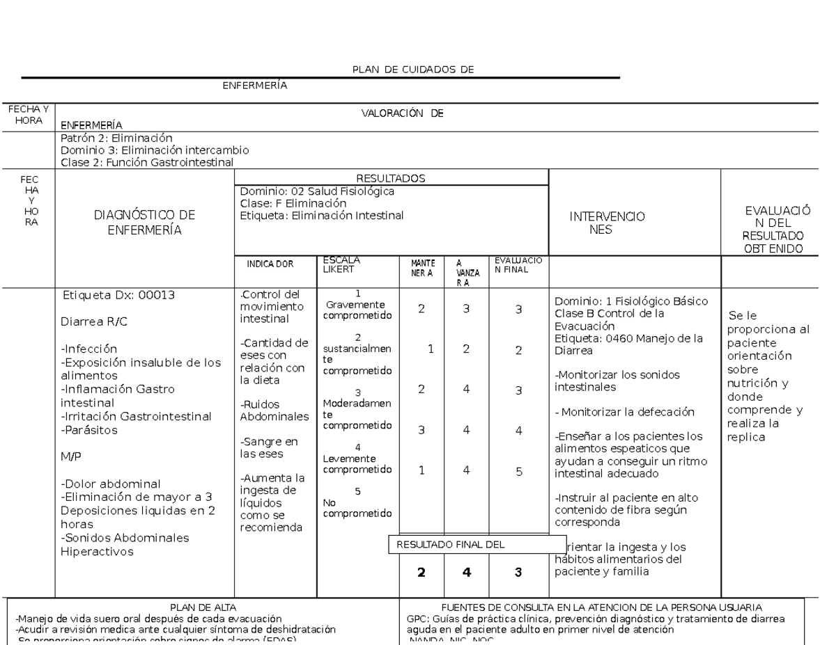 HOJA DE Enfermeria Primer Nivel DE Atencion ISEM - PLAN DE CUIDADOS DE
