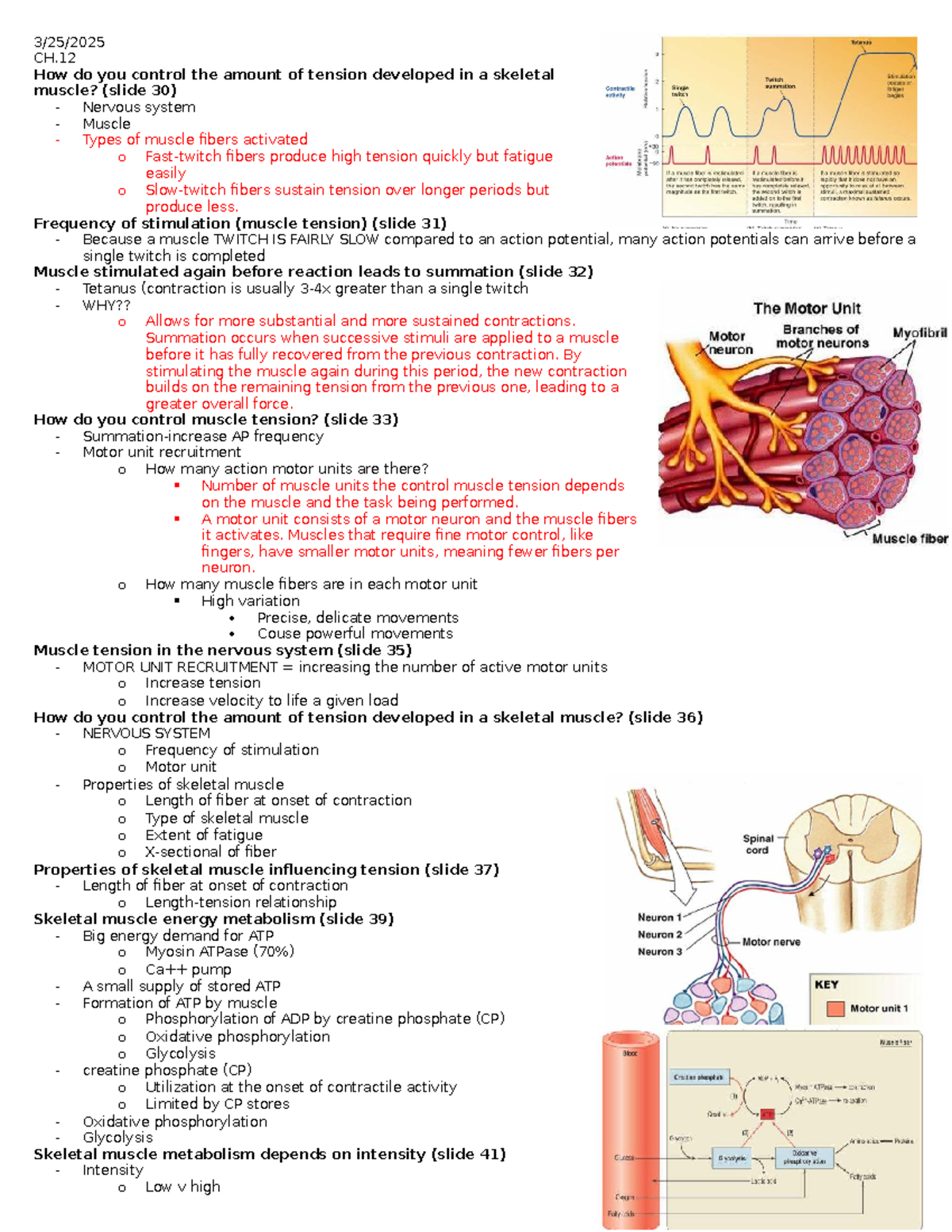 Muscle Physiology: Functions, Types, and Neural Control for Study - 3 ...