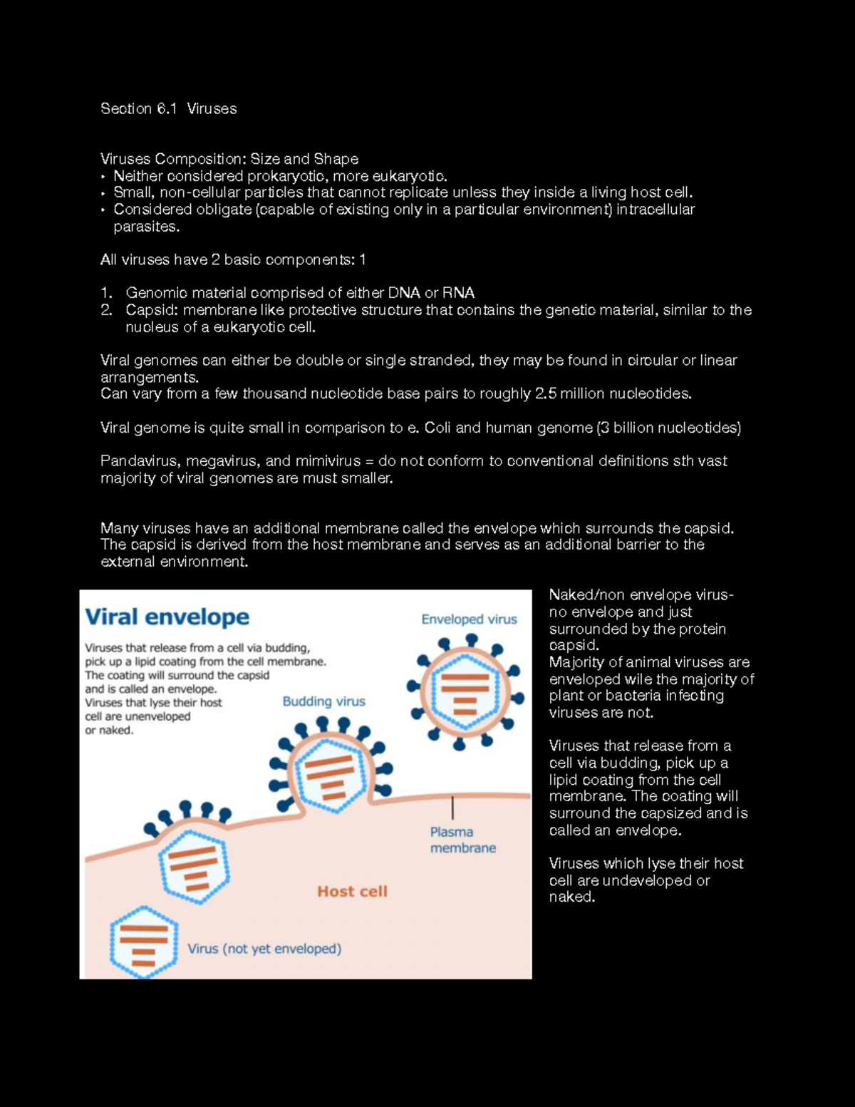 Module 6 Notes: Understanding Viruses - Composition, Replication, and ...