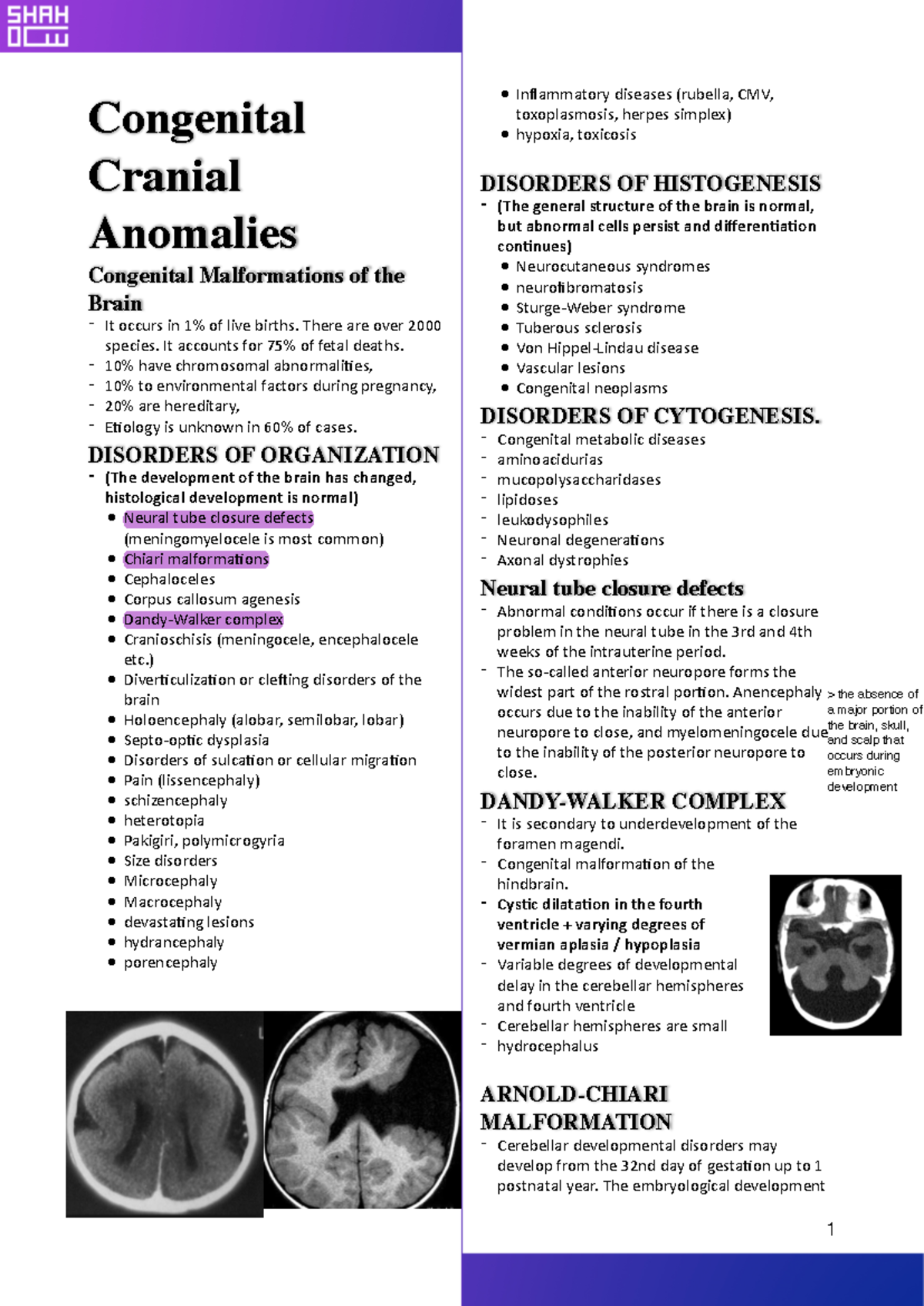Congenital Cranial Anomalies: An Overview of Malformations and Impact ...