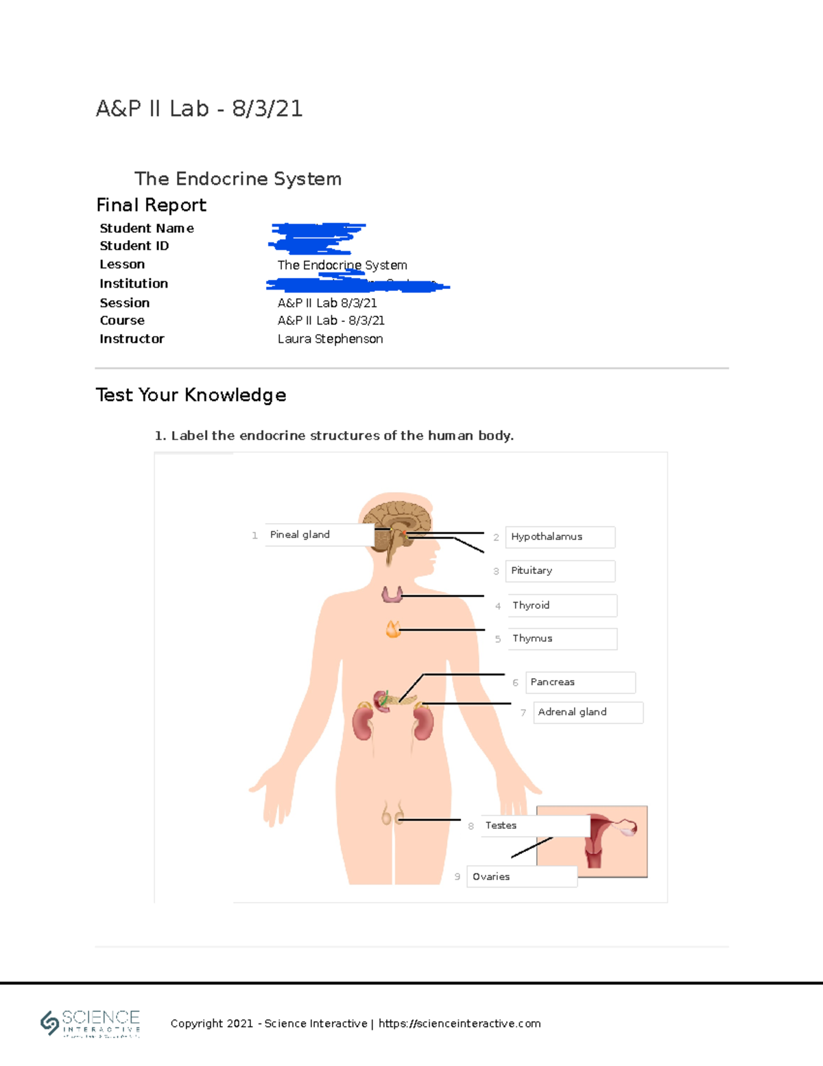 A&P II Lab 8321: The Endocrine System Lesson Report (ID: 165088) - Studocu