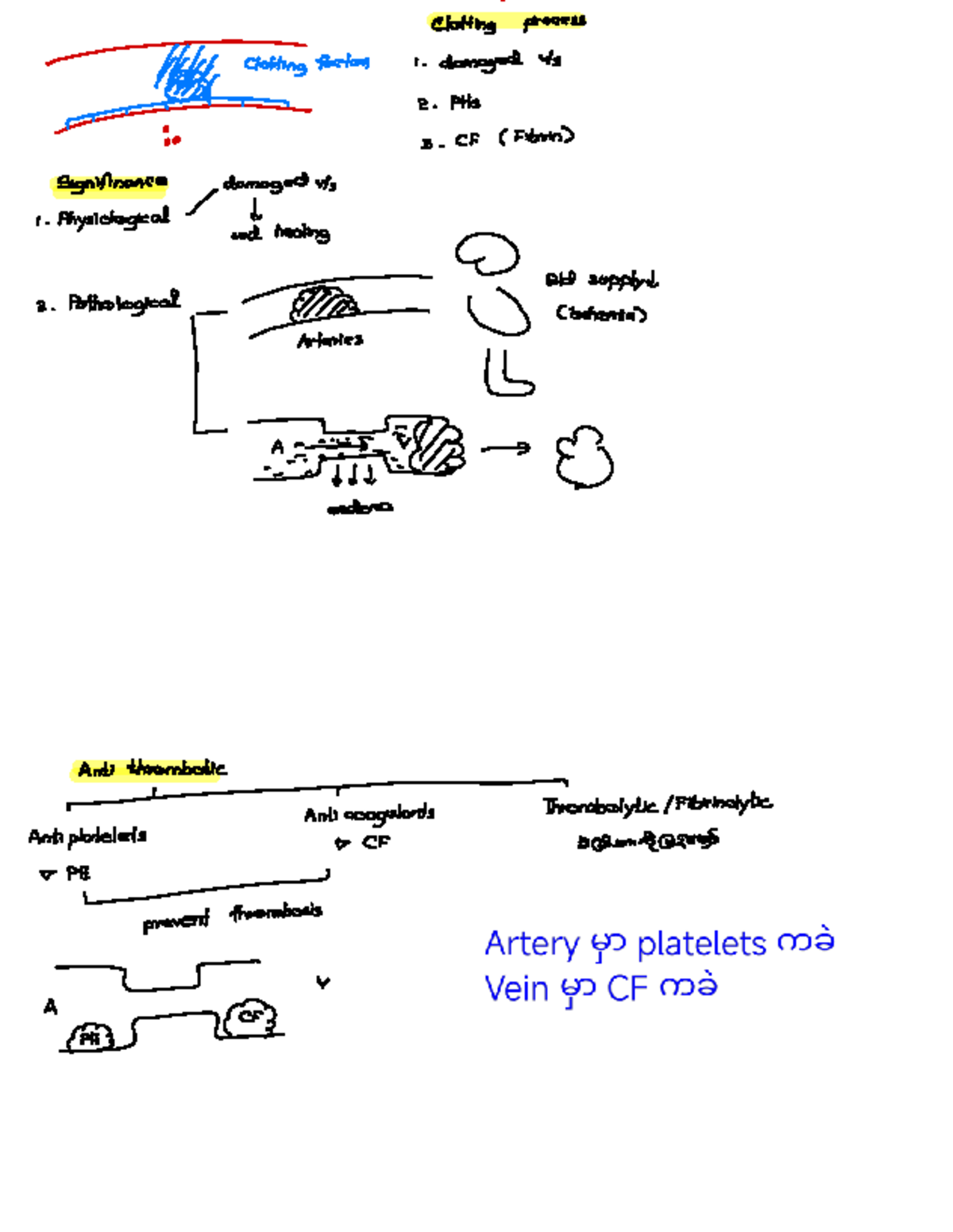 Antiplatelets, Anticoagulants, and Thrombolytics Overview (PLF 1) - Studocu