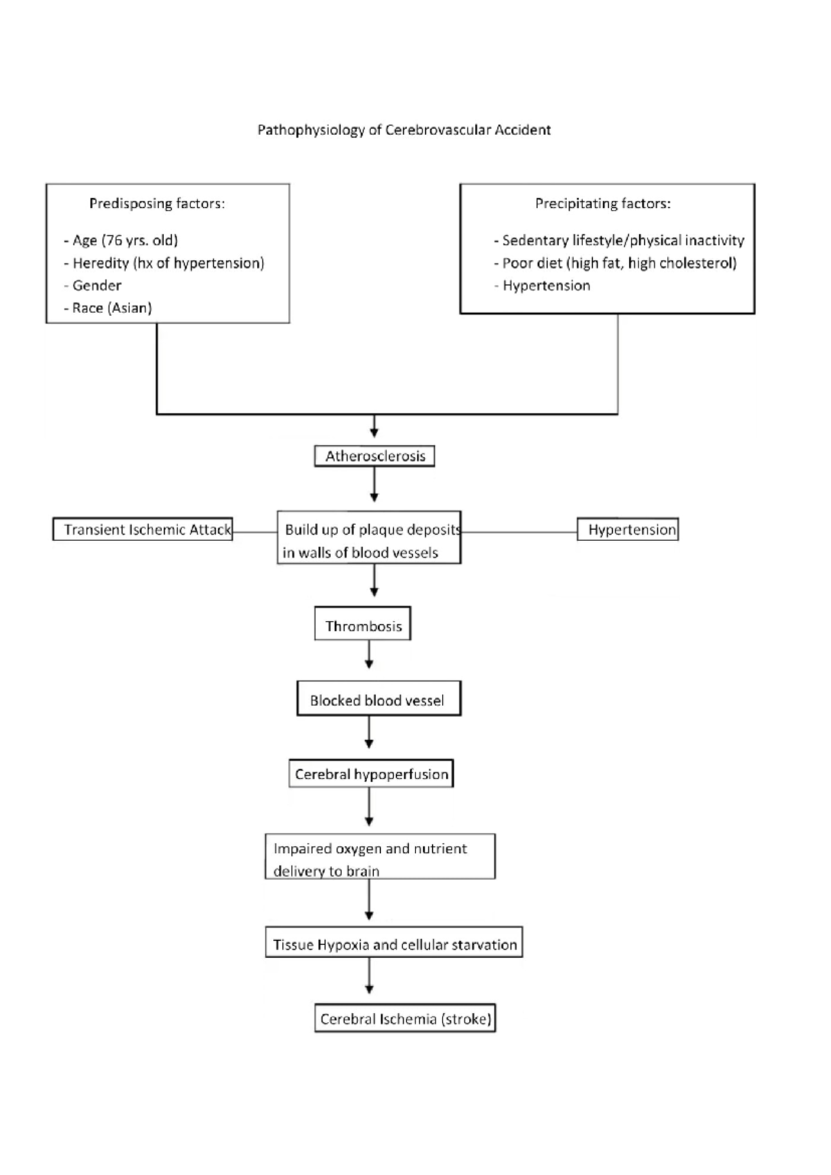 Pathophysiology of Cerebrovascular Accident - NEIL - Studocu