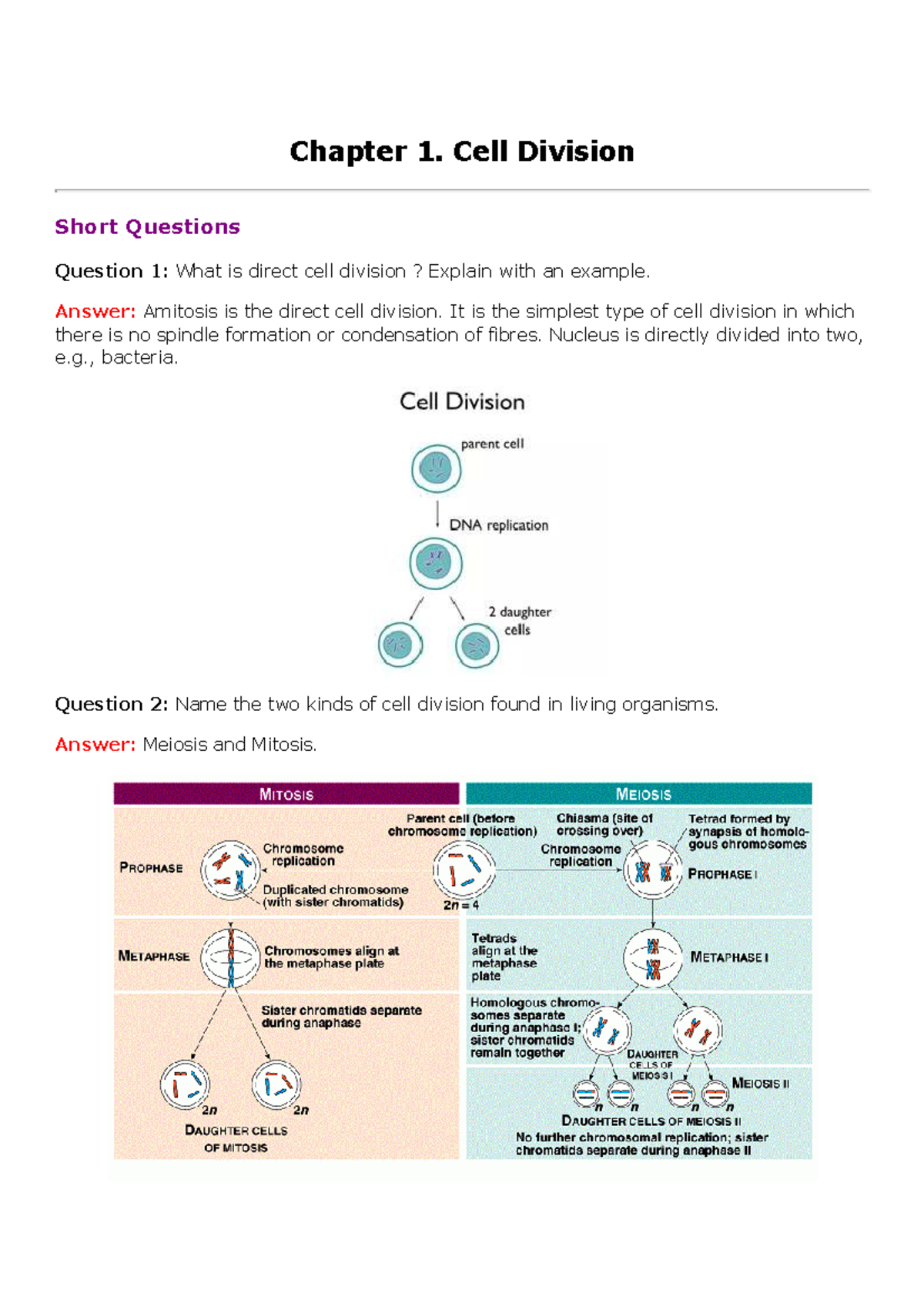 Cell Division Concepts and Short Questions (BIOL 101) - Studocu