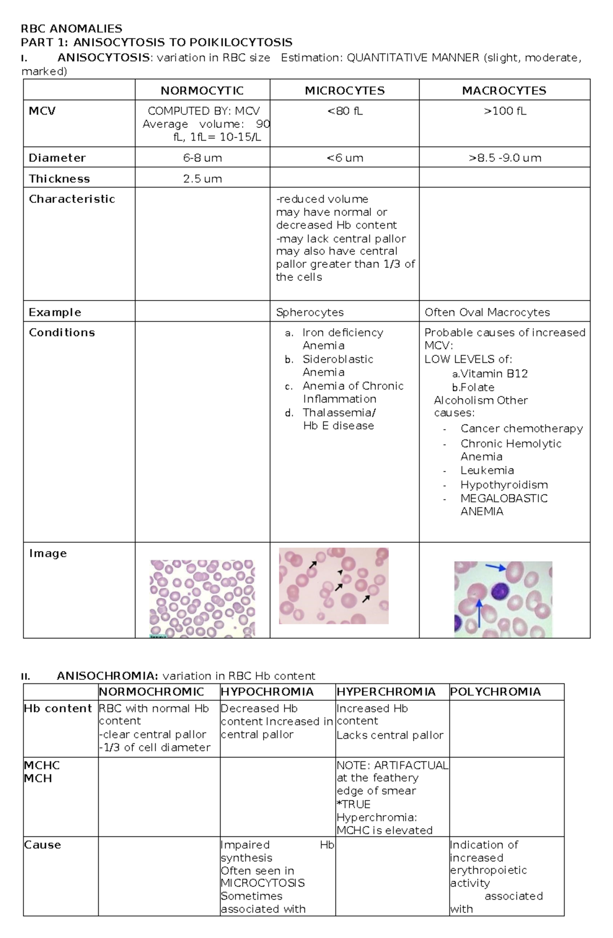 RBC Anomalies Review for Hematology (Final Exam) - Studocu