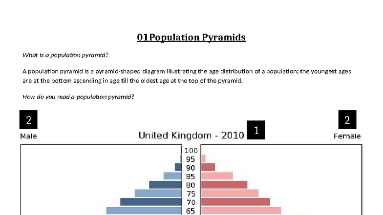 Population Pyramids: Understanding Age Distribution and Growth Types ...