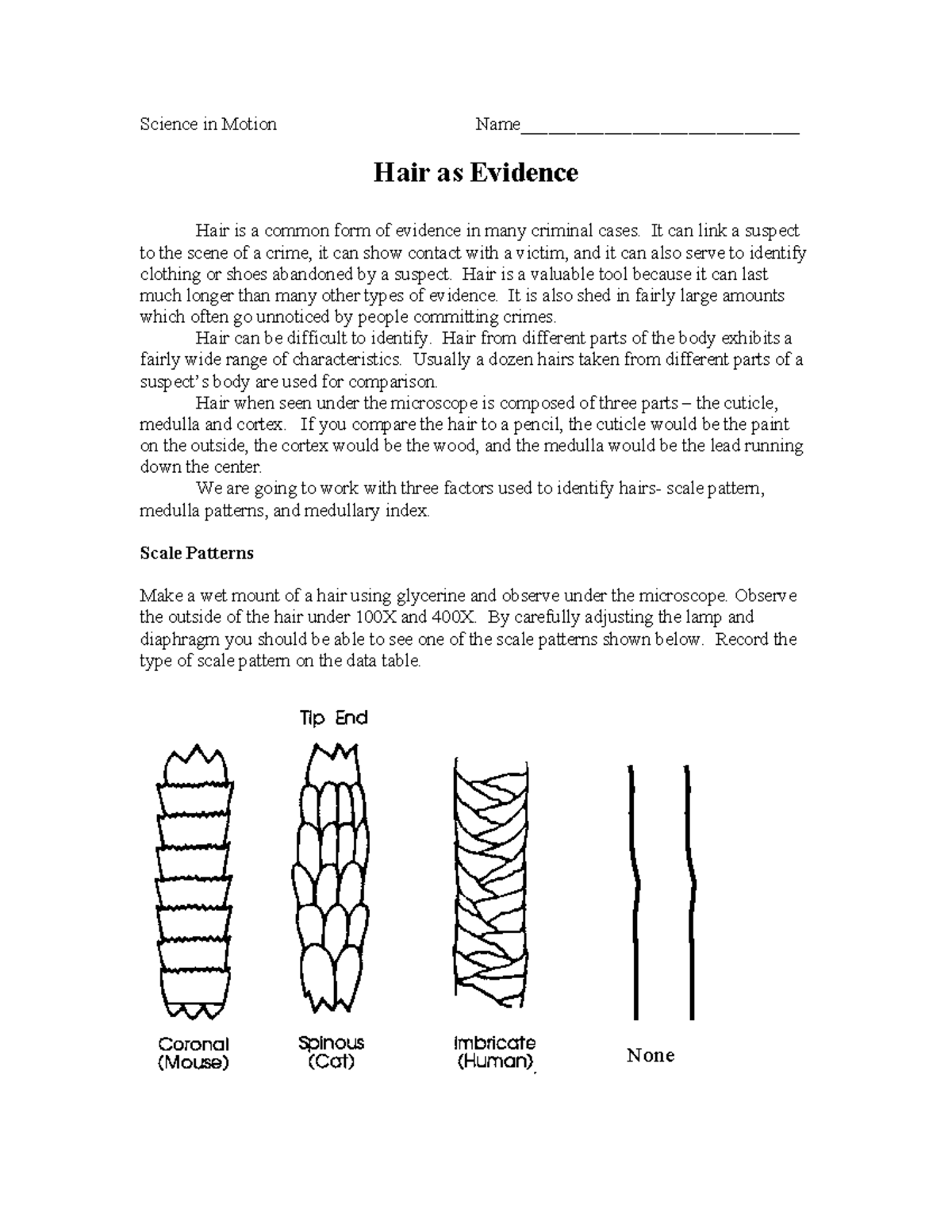 Science in Motion: Hair Analysis Lab Report - Studocu