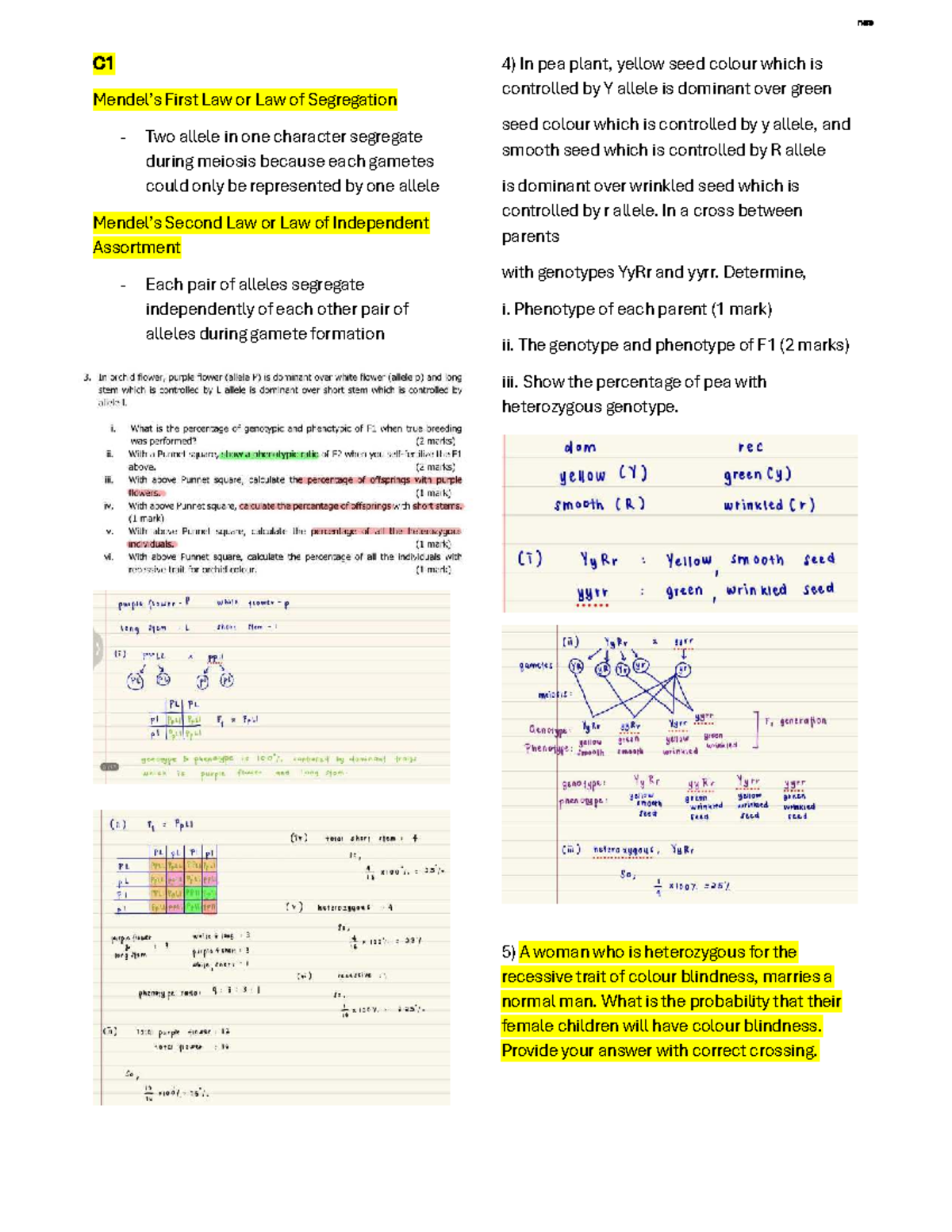 C1-C7 Biology Study Notes: Genetics, Biotechnology, and Immunology ...
