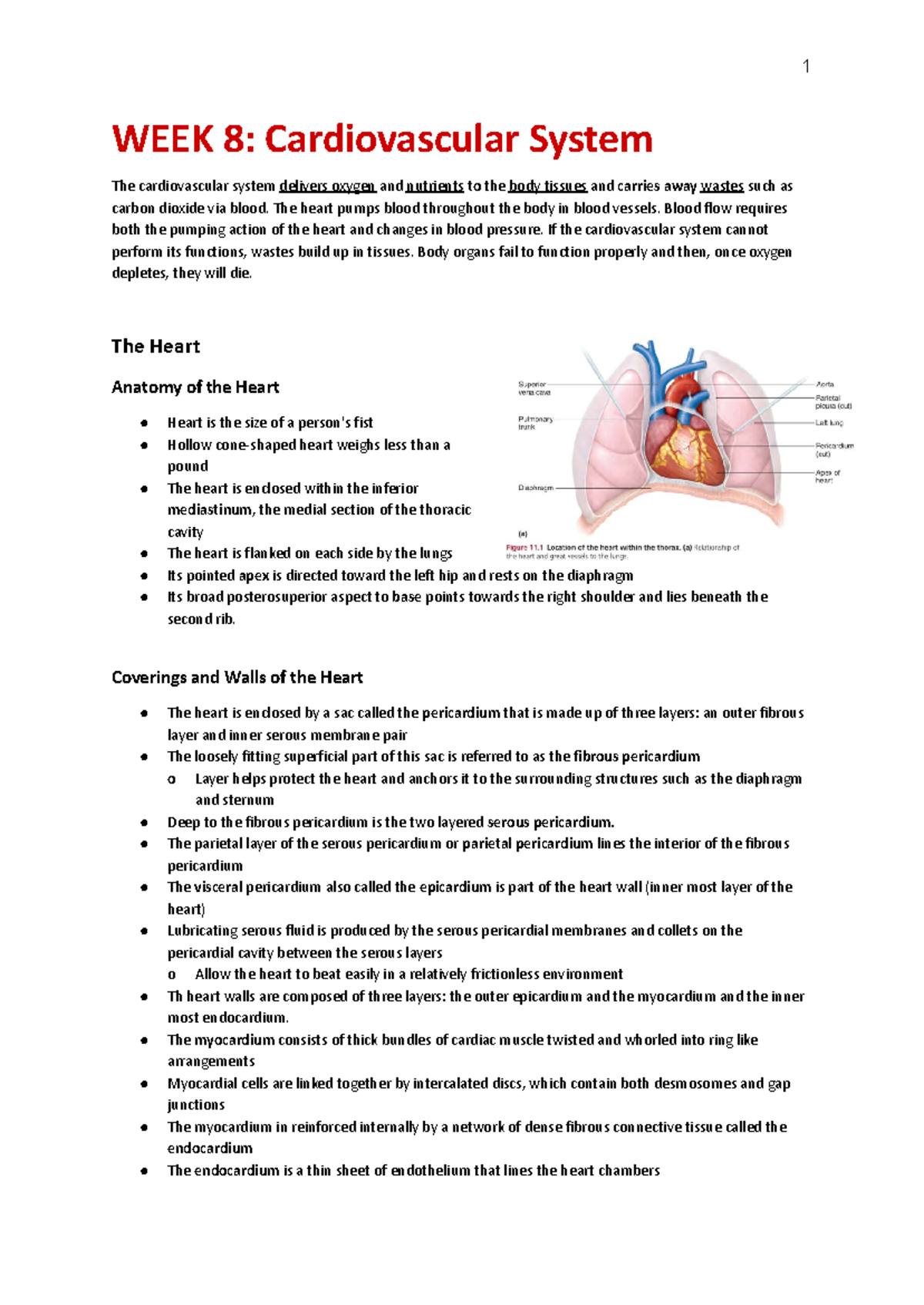 HBS 1 WEEK 8: Cardiovascular System Overview and Key Concepts - Studocu