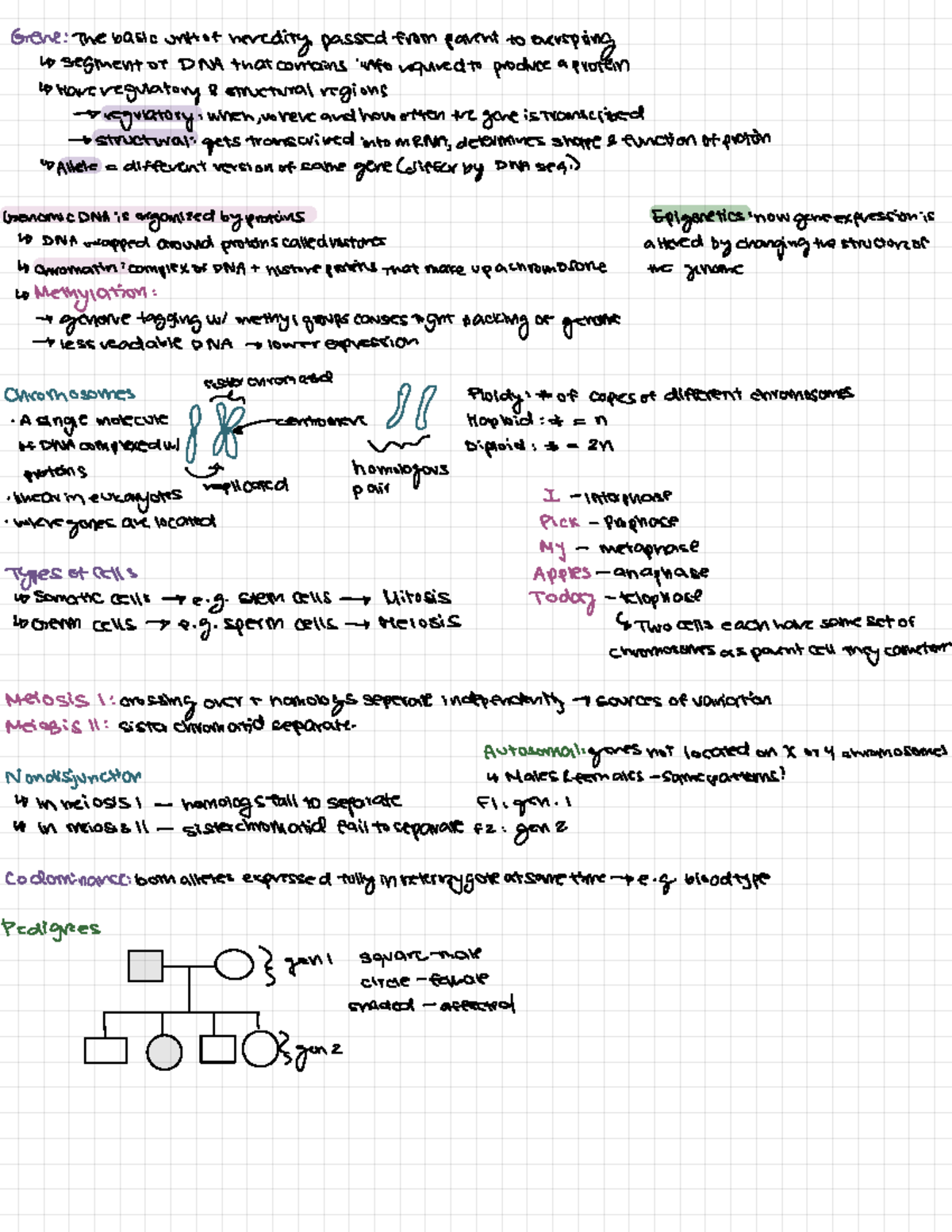 BIOL121 Genetics Study Sheet: Key Concepts and Terminology - Studocu