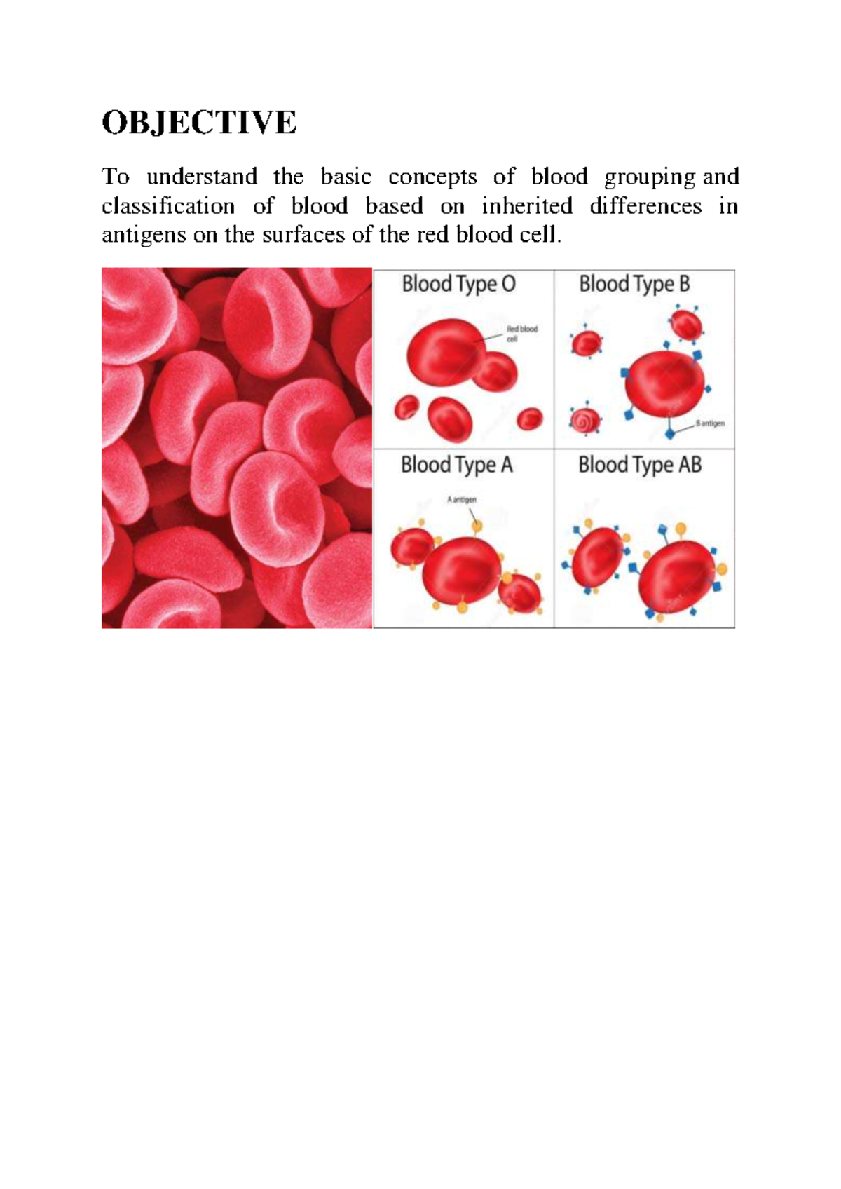 Biology Project: Blood Grouping and Classification (AISSCE) - Studocu