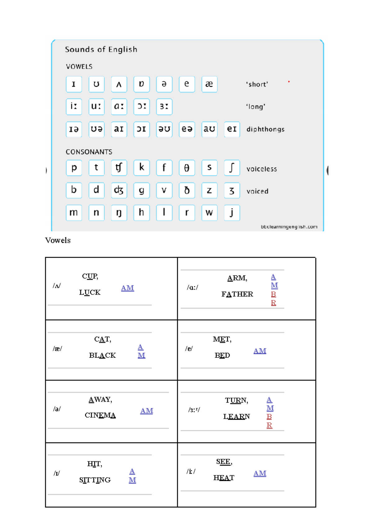 Practical Phonetics for English Vowel Articulation and Sounds - Studocu