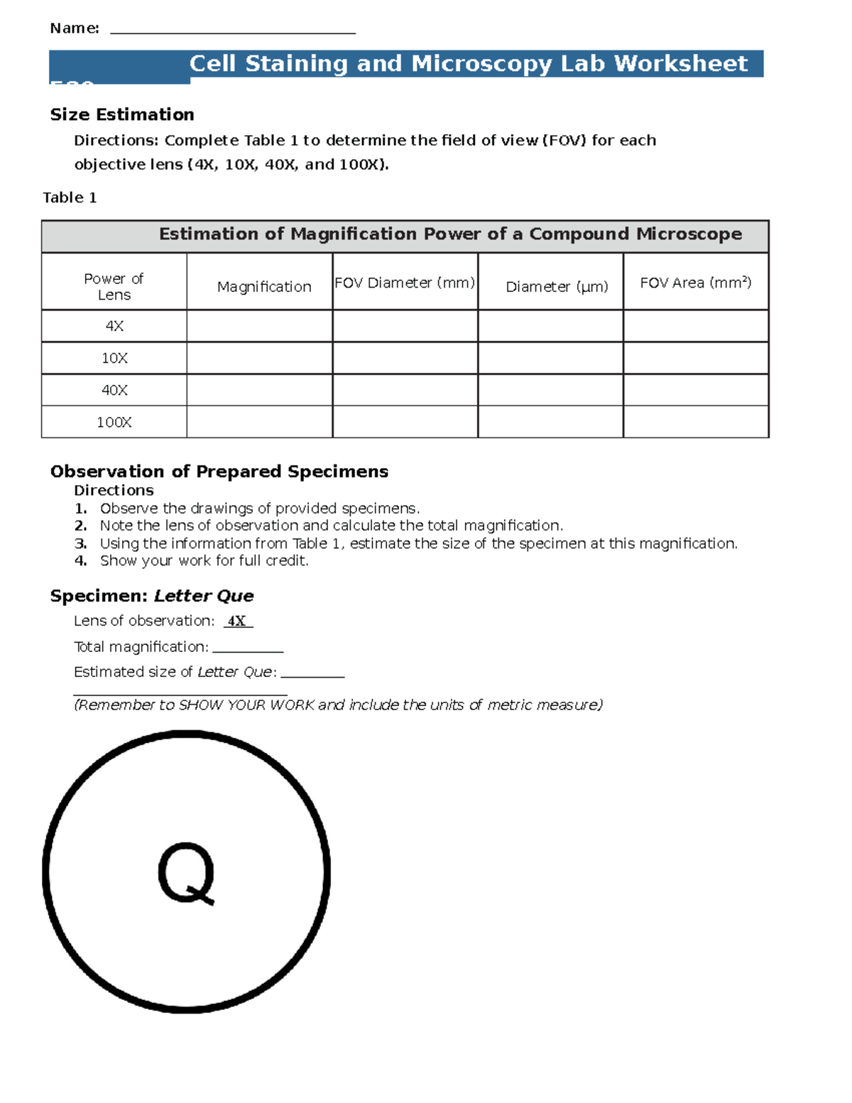 2 F20 Cell Staining and Microscopy worksheet - Name: Cell Staining and ...
