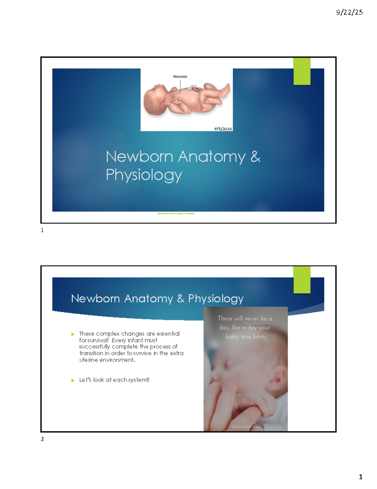 Newborn Anatomy & Physiology: Key Adaptations and Assessments (SLIDE ...