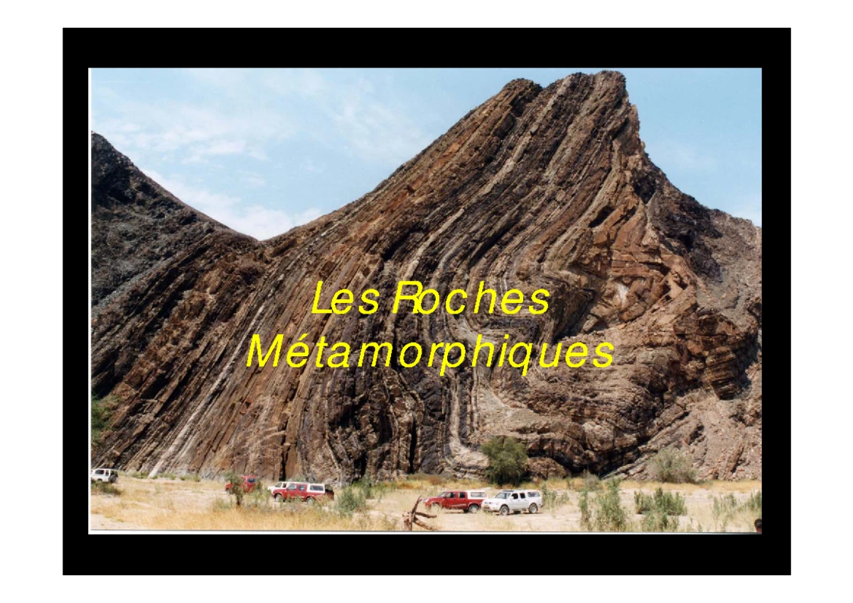 texture de sédimentaire calcaire Roche avec coquilles 25015277 Photo de  stock chez Vecteezy, image size:1200x848