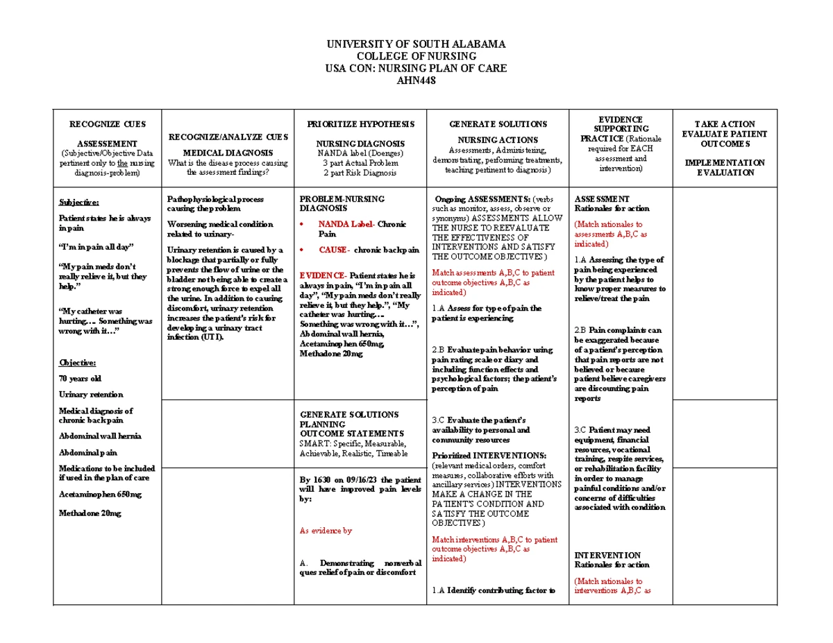 Care Plan for Risk of Unstable BP: Hypertension Management 101 - Studocu