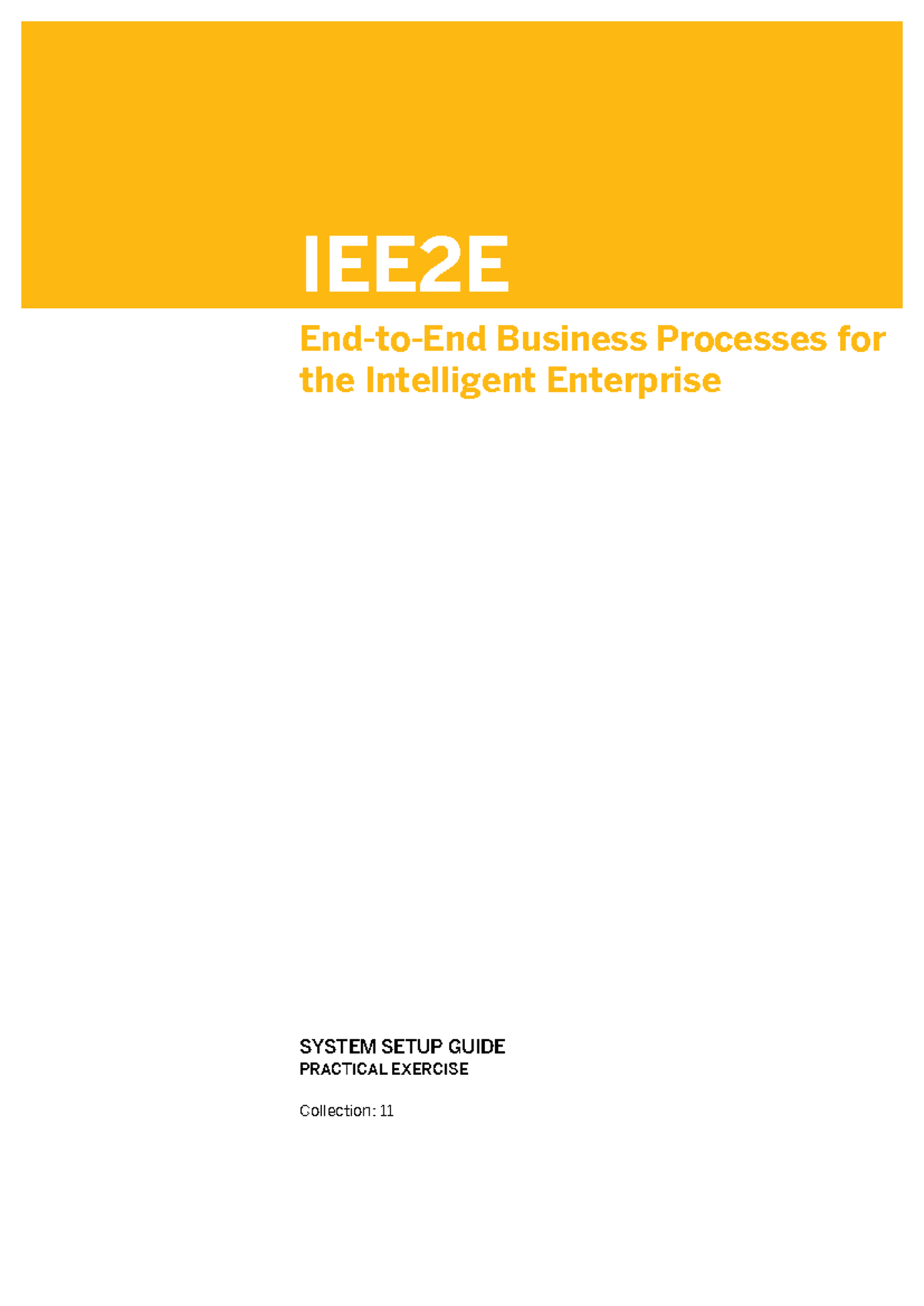 IEE2E Business Processes: System Setup Guide & Practical Exercise - Studocu