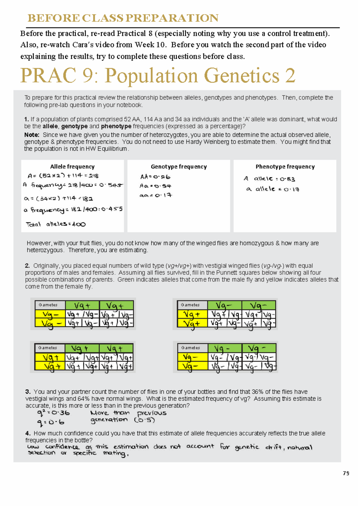 BIOL Pracs - Prac 9: Population Genetics Preparation Guide - Studocu