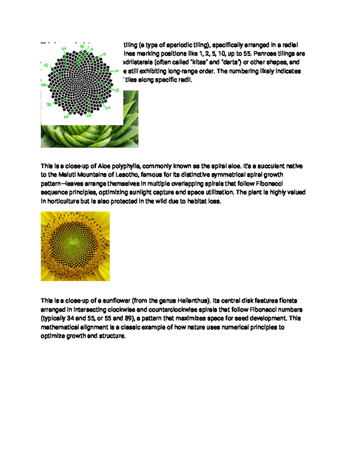 Mathematical Patterns in Nature: Penrose Tiling & Fibonacci Growth ...