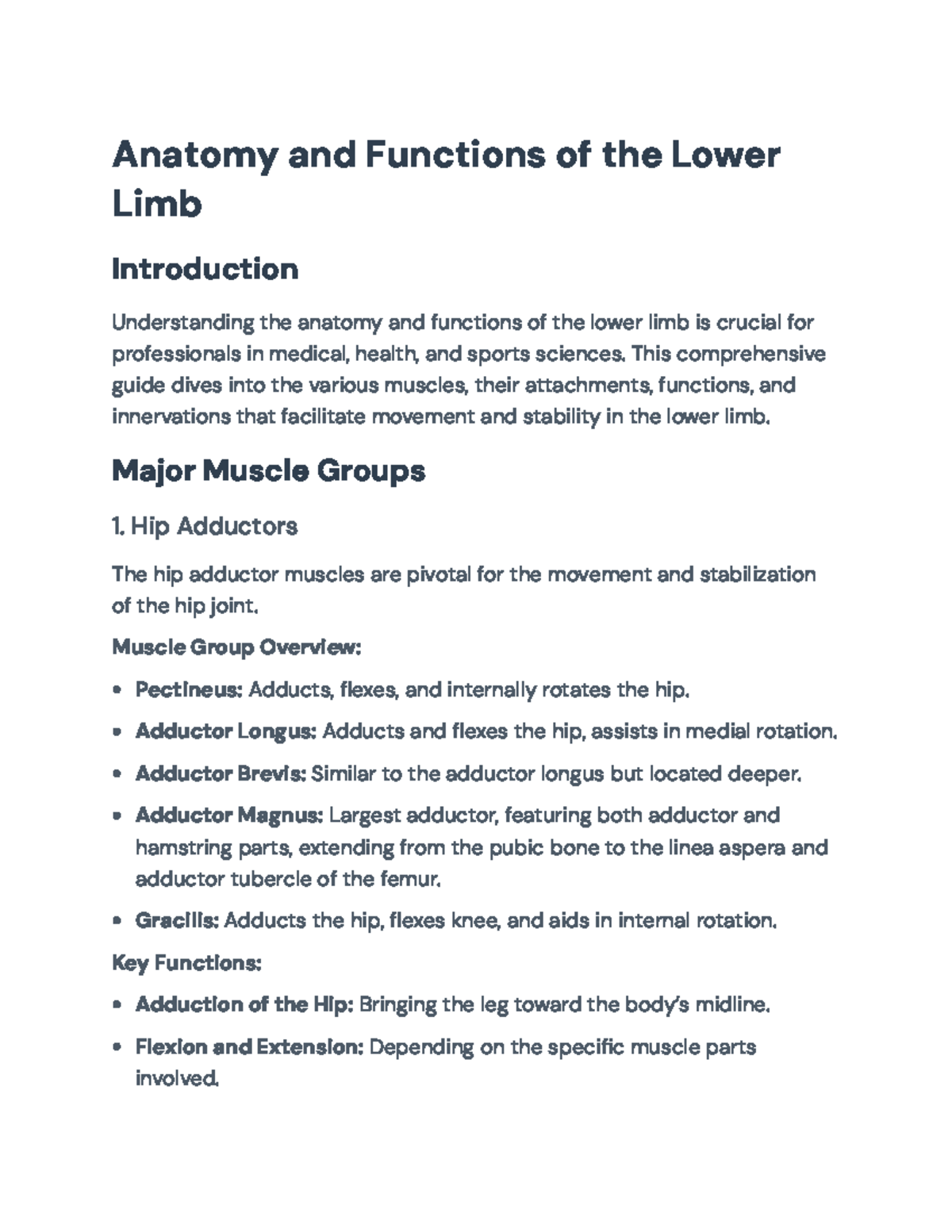 Anatomy and Functions of the Lower Limb: A Comprehensive Guide ...