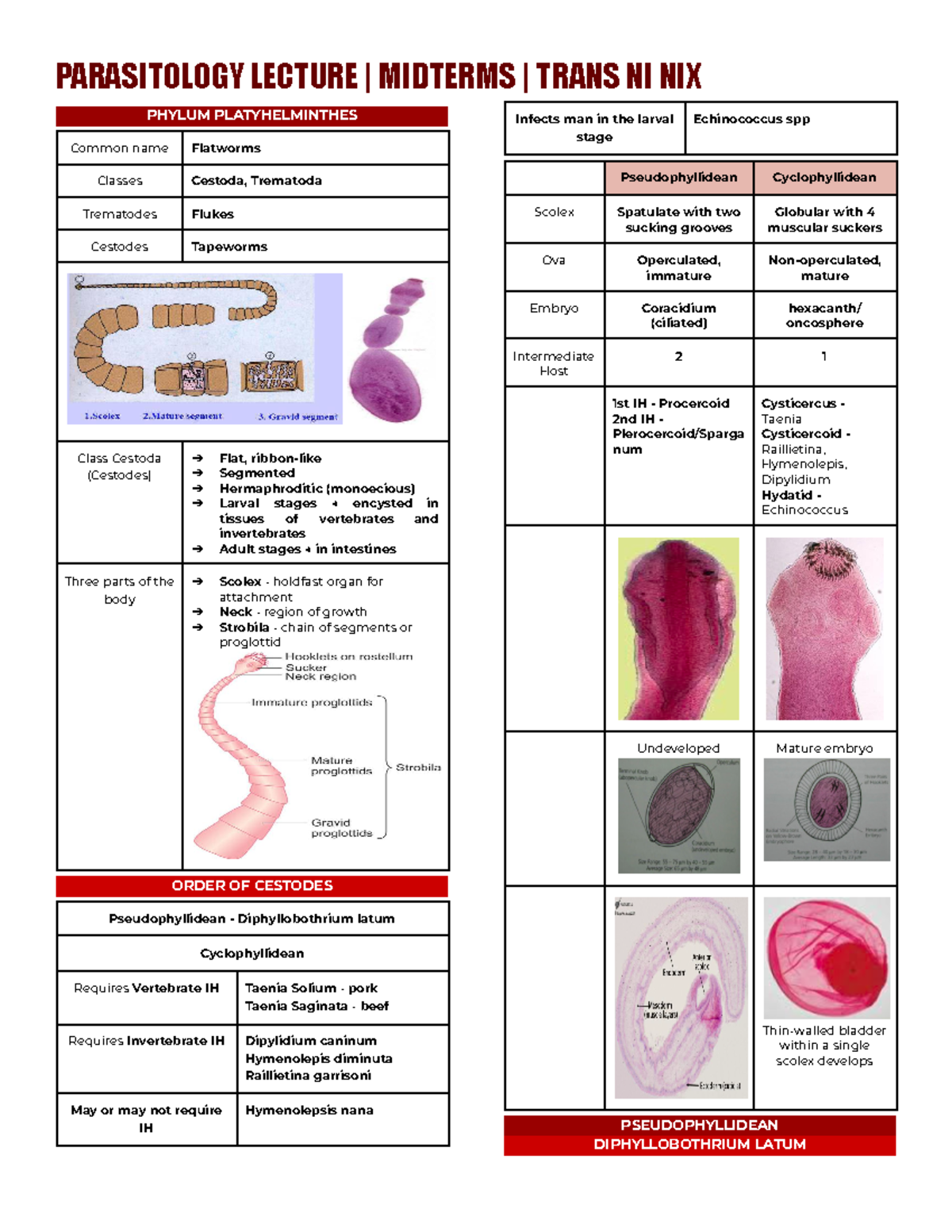 Parasitology LECTURE MIDTERMS TRANS NI NIX: Cestodes Overview and ...