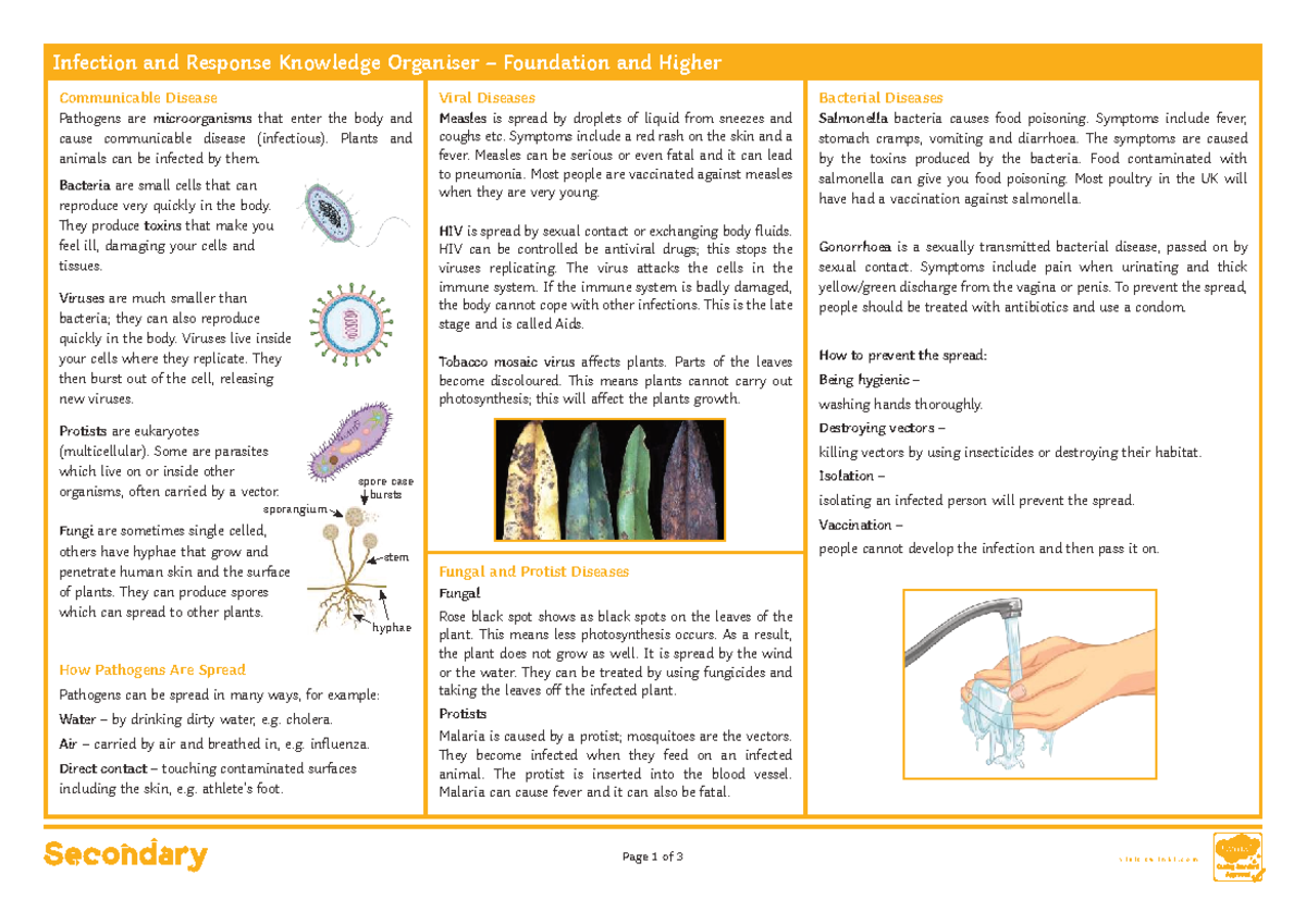 Biology+Revision+Booklet+(Higher) - Infection and Response Knowledge ...