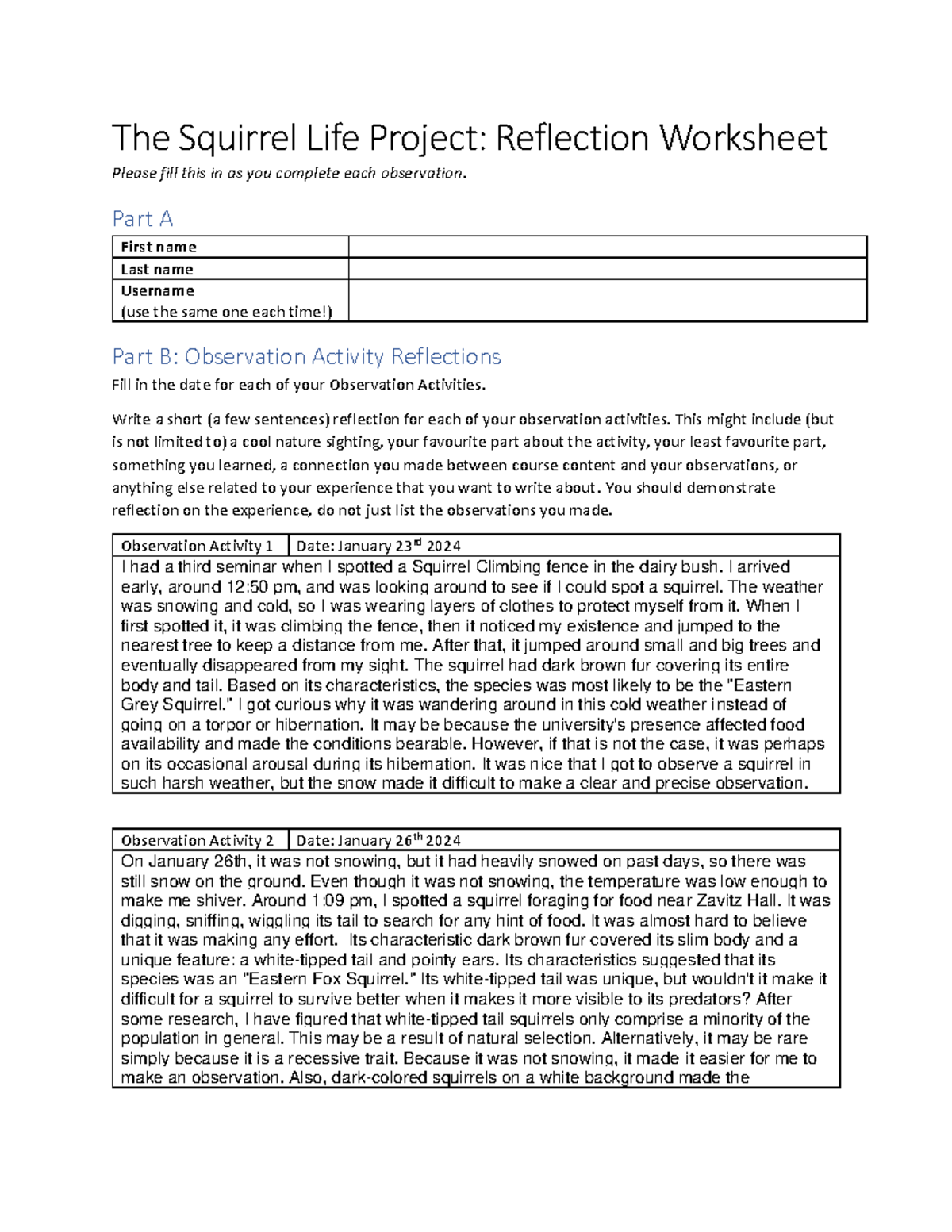 SLP: Reflection Worksheet on Squirrel Observation Activities - Studocu