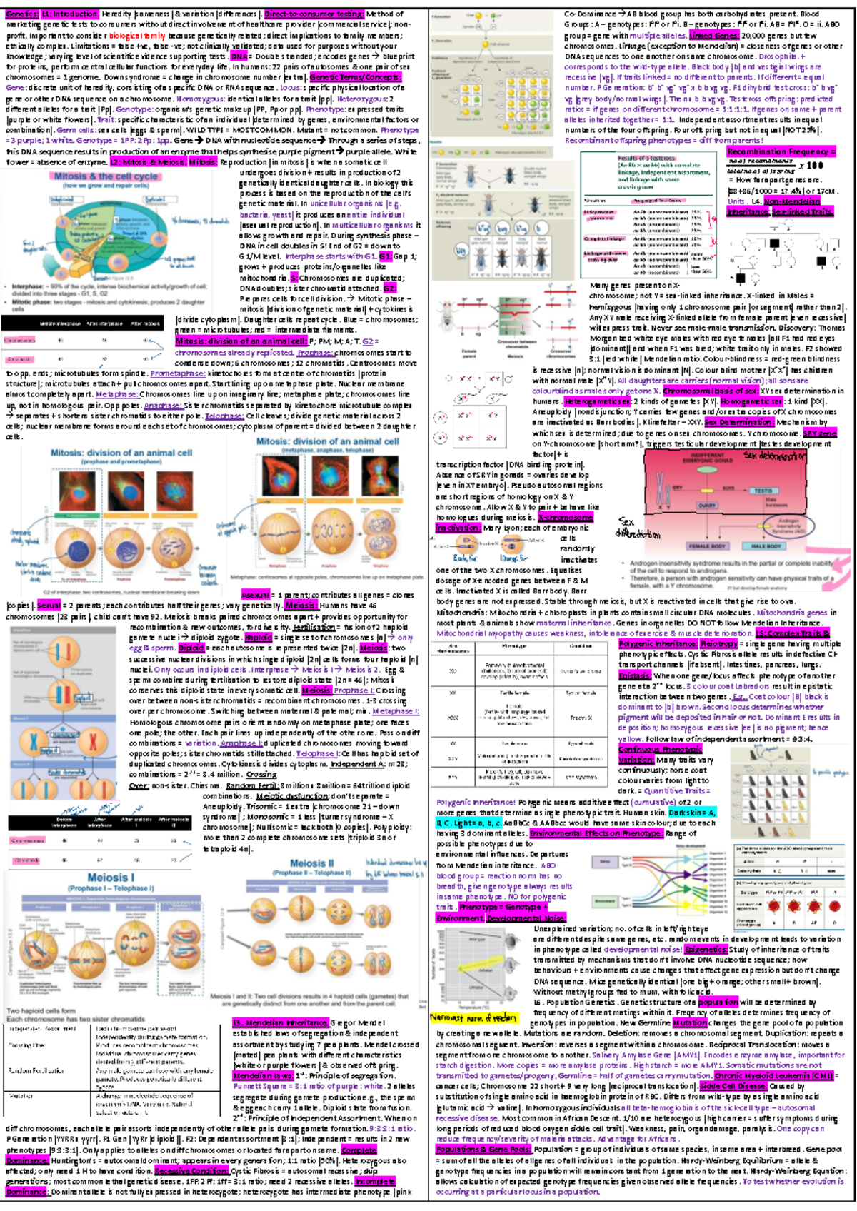 Genetics: L1-L6 Final Exam Cheat Sheet on Heredity & Inheritance - Studocu