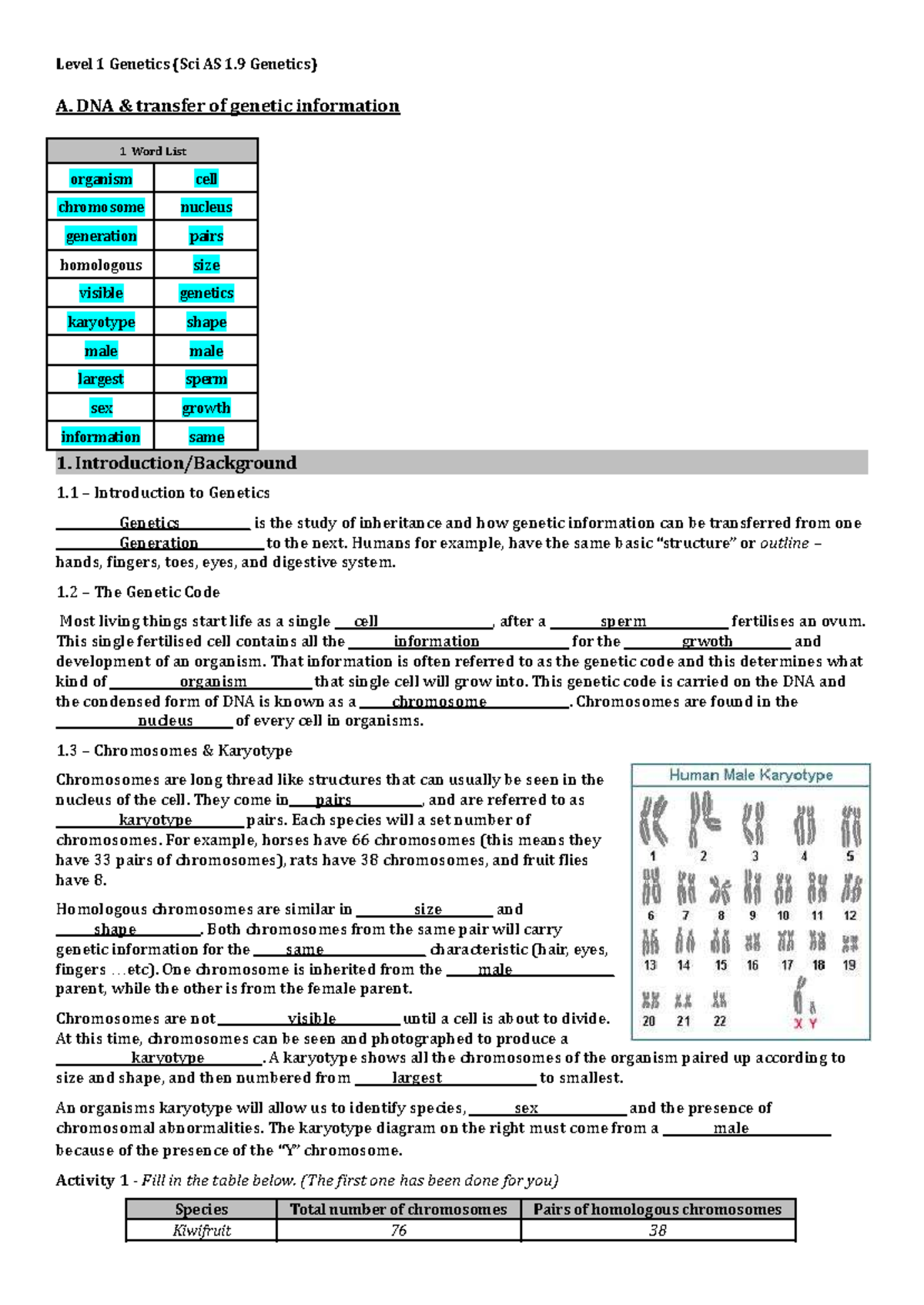 Level 1 Genetics (Sci AS 1.9 Genetics) - DNA, Chromosomes, and Genes ...