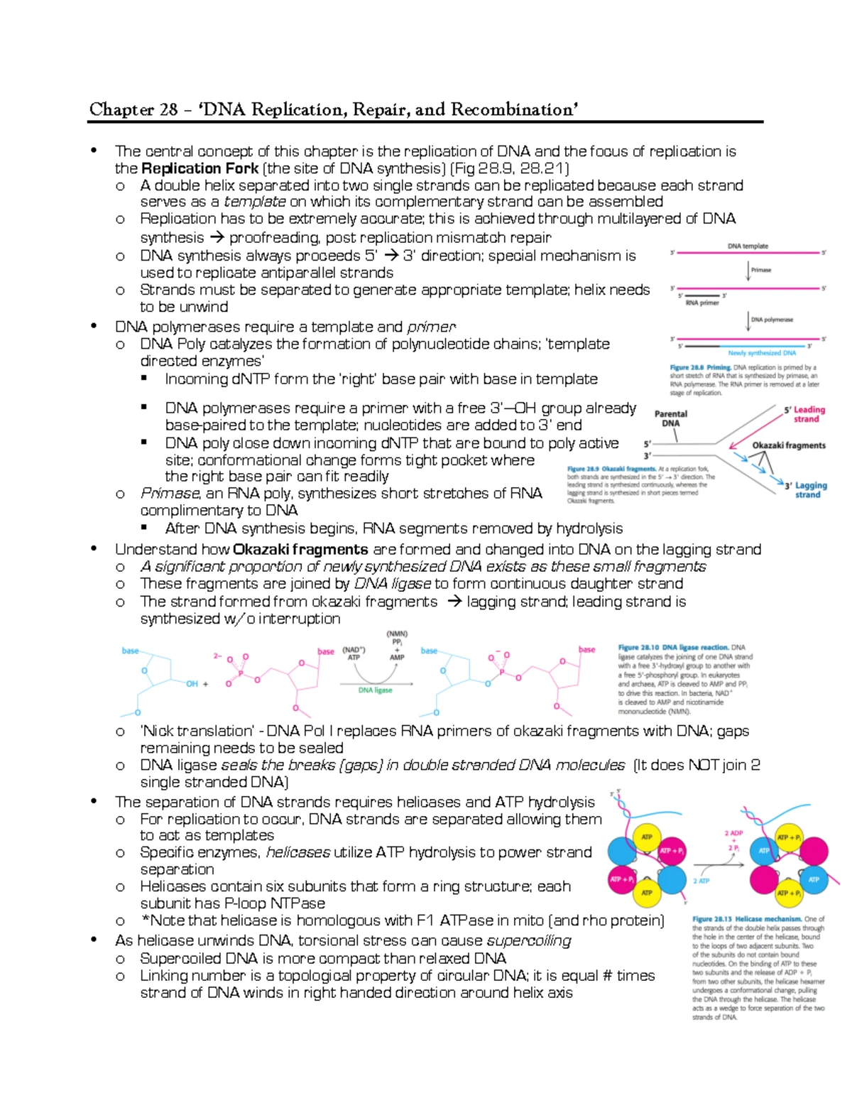 DNA Structure and Replication Notes - Course Code: 2 4 25 - Studocu