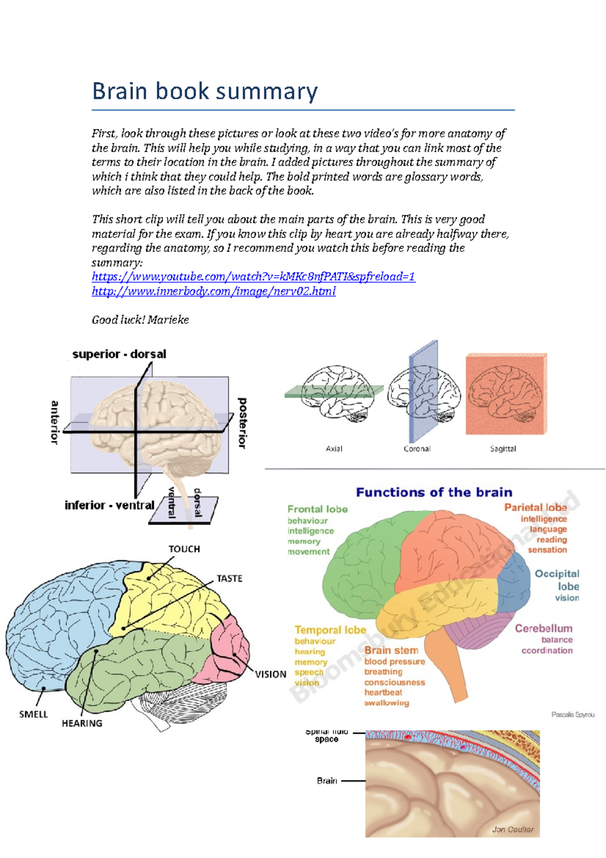 Lecture Notes on Brain Anatomy and Biopsychology (Lectures 1-10 ...