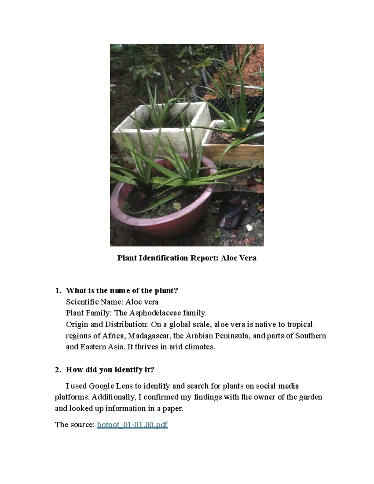 Plant Identification Report: Aloe Vera (Asphodelaceae Family) - Studocu