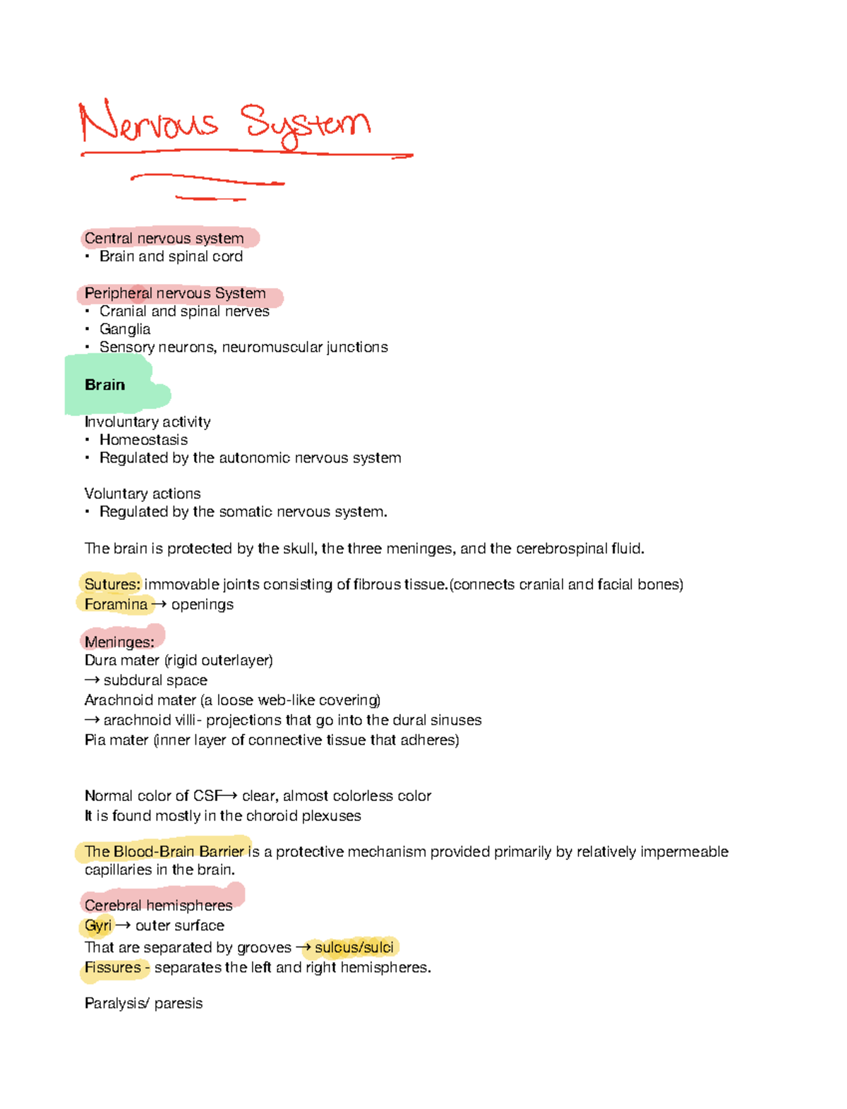 Ch 14 study guide - Nervous system overview - Deprecated API usage: The ...