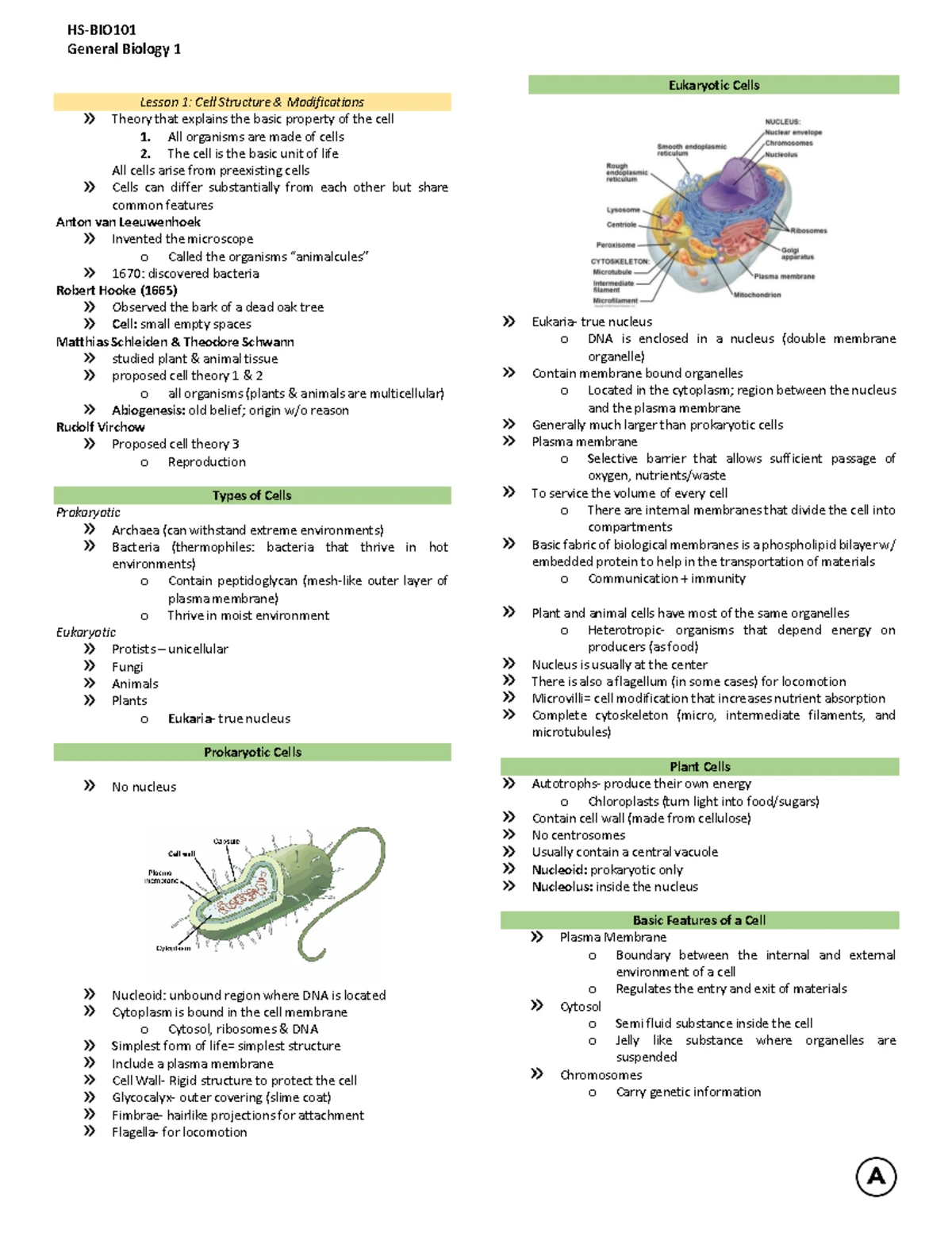 Intro TO Radiobiology - Lecture notes Prelim - Radiobiology It is the ...