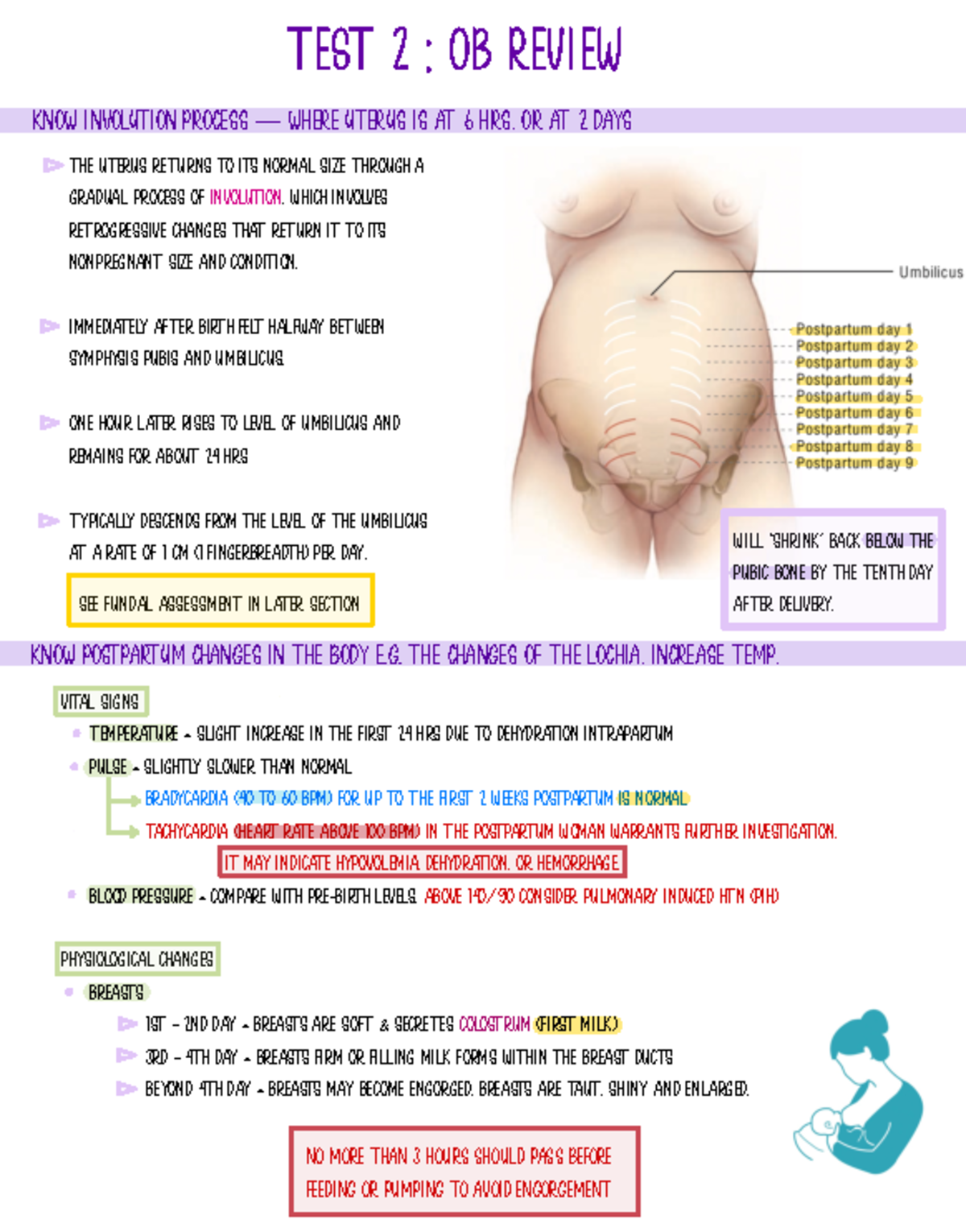 OB Test 2 Review Notes: Postpartum Assessments and Changes - Studocu