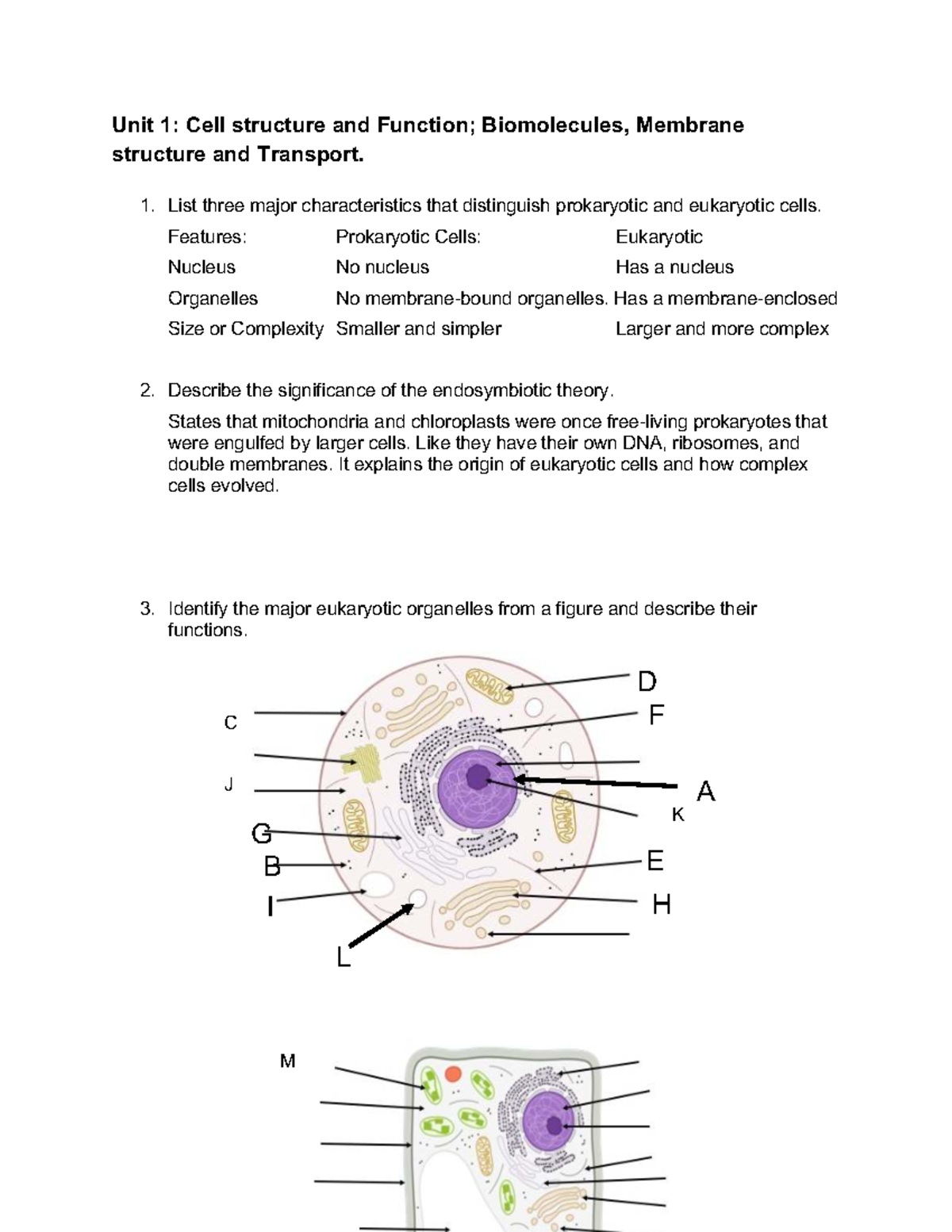 Unit 1: Cell Structure & Biomolecules Review for Exam - Studocu