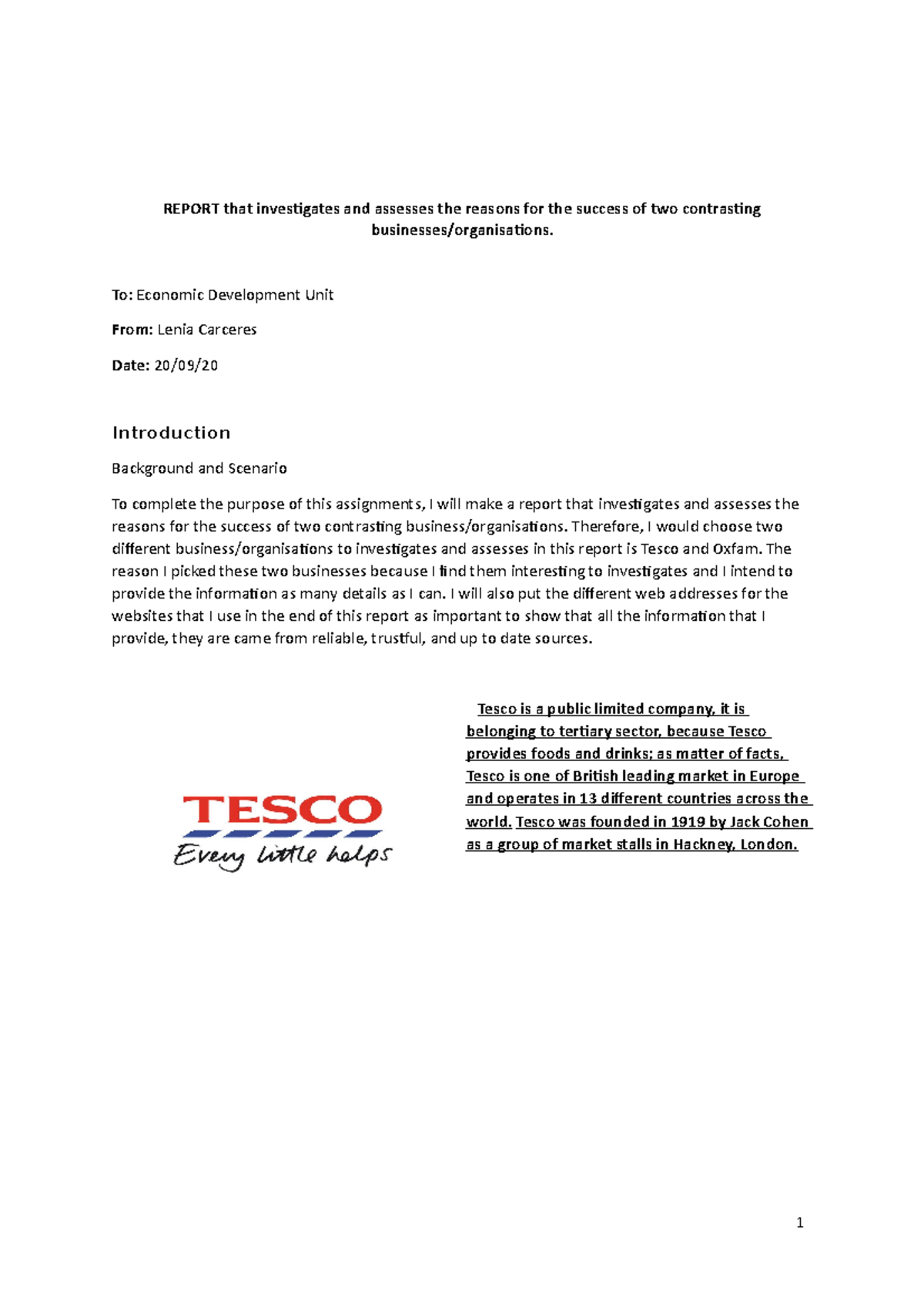 Report Template for Task 1 - REPORT that investigates and assesses the ...