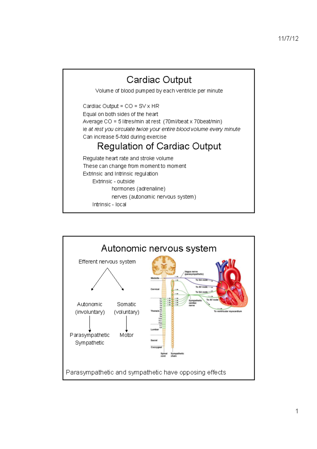 Cardiac Output Regulation and Factors Affecting CO in Physiology - Studocu