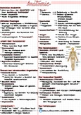 Zusammenfassung der Anatomie und Physiologie - Kurs ABC123