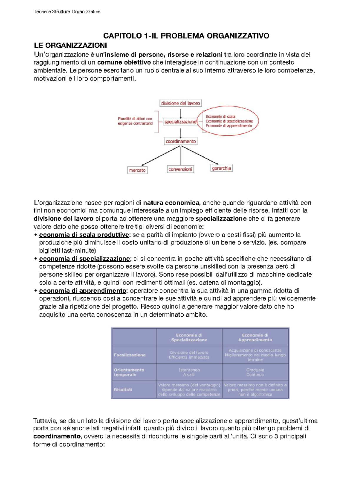 Teorie e Strutture Organizzative: Approfondimenti e Analisi CAPITOLO ...