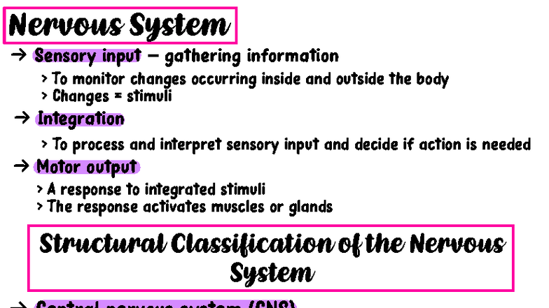 Nervous System Overview - ANAPHY Lecture Notes - Studocu