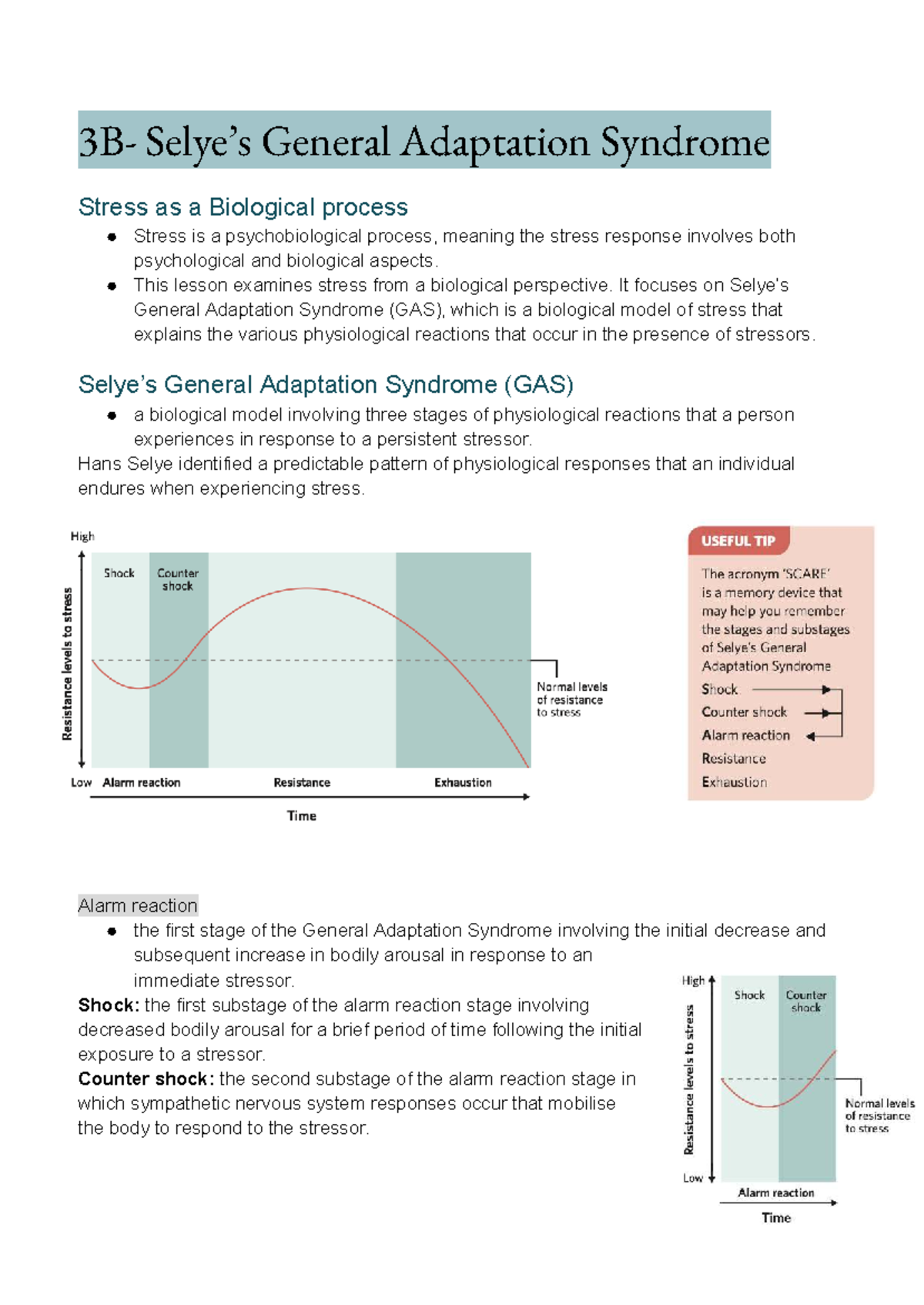 Chapter 3A Notes: General Adaptation Syndrome & Stress Response - Studocu