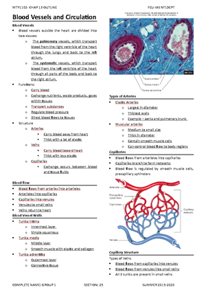 Chapter-11-Blood - Blood lecture for human anatomy - Blood Functions of ...