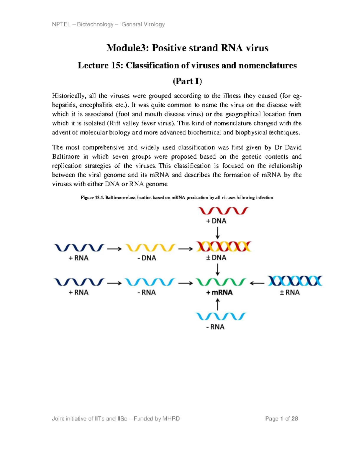 NPTEL Biotechnology General Virology Module 3: Positive Strand RNA ...