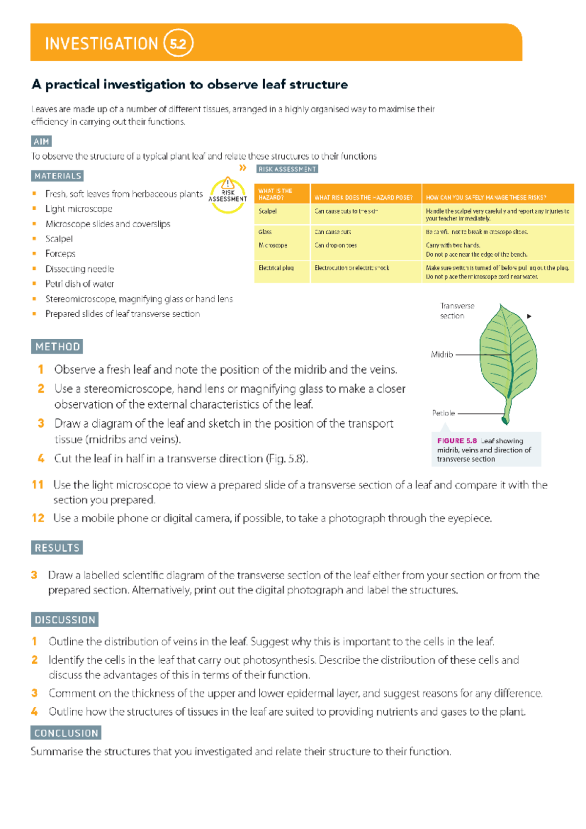 03a. Investigation 5.2 Leaf structurex - RESULTS Discussion Questions ...