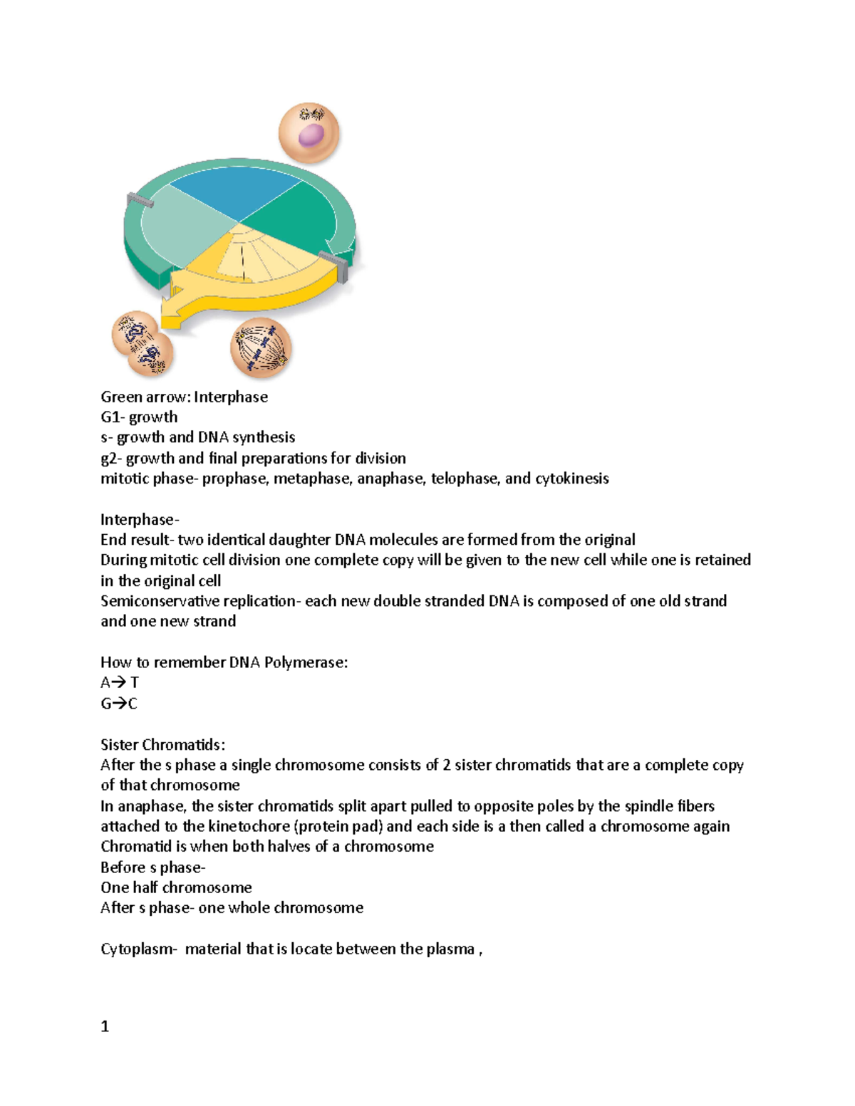 BIO 201: Cell Division and Tissue Types Study Notes - Studocu