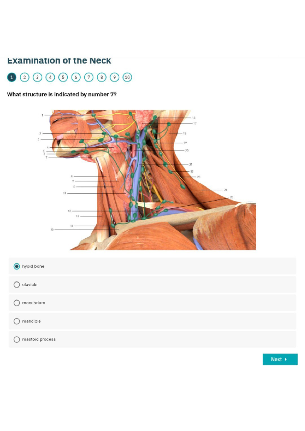 Examination of the Neck: Key Structures and Clinical Features - Studocu